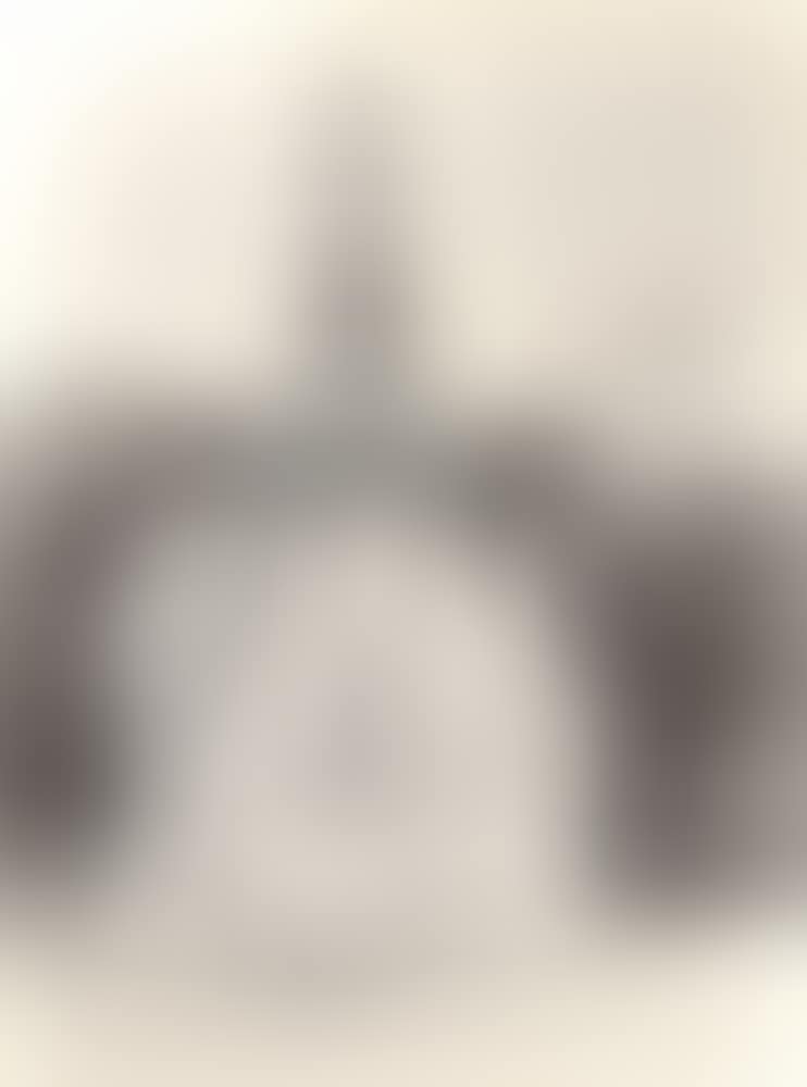 ”Wrapped Monument to Leonardo (preview)