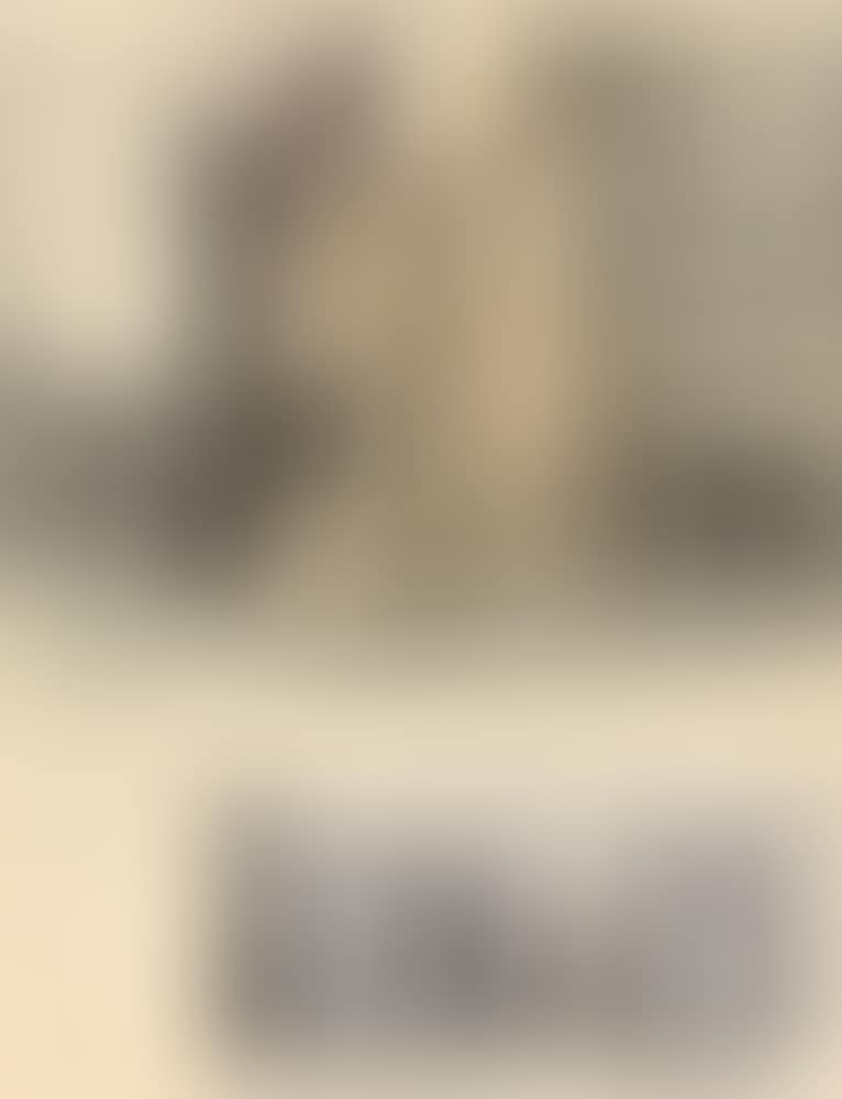 ”Wrapped Sylvette (preview)