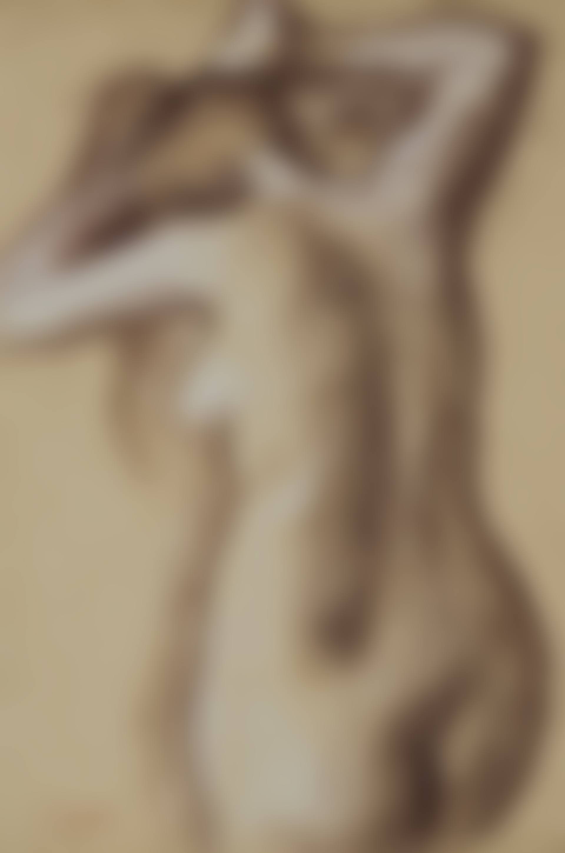 Jeune femme nue se coiffant (preview)