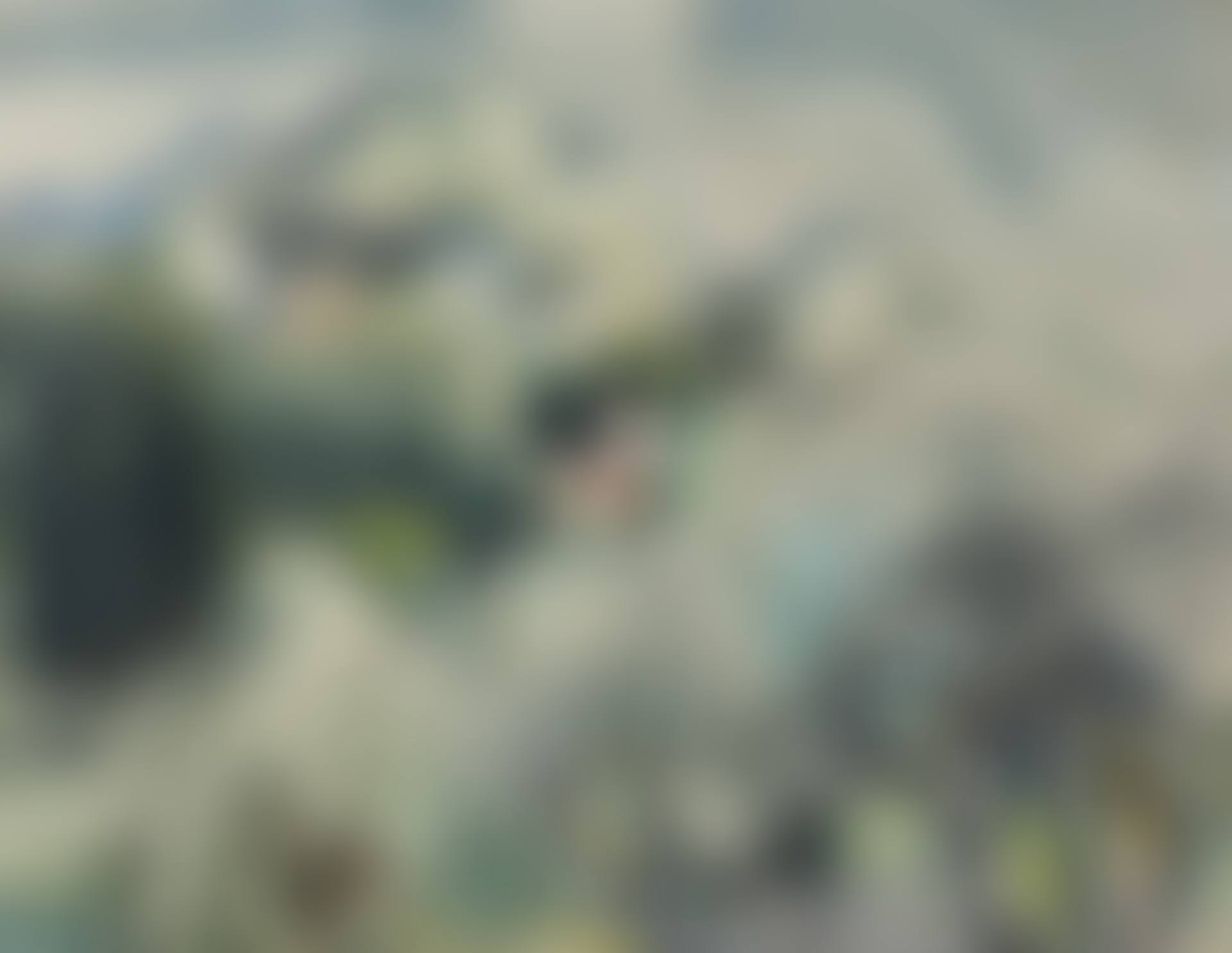 Landschaft vor Sturm (preview)