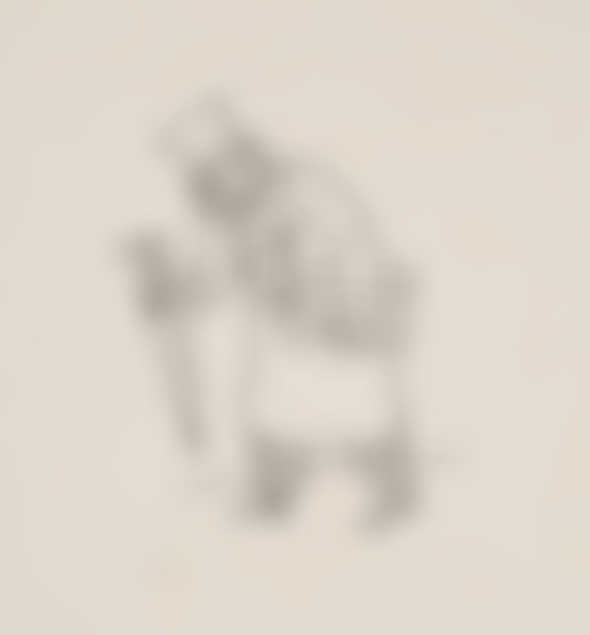 Herr Bombonell (recto); Tartarin Singt (verso) (preview)