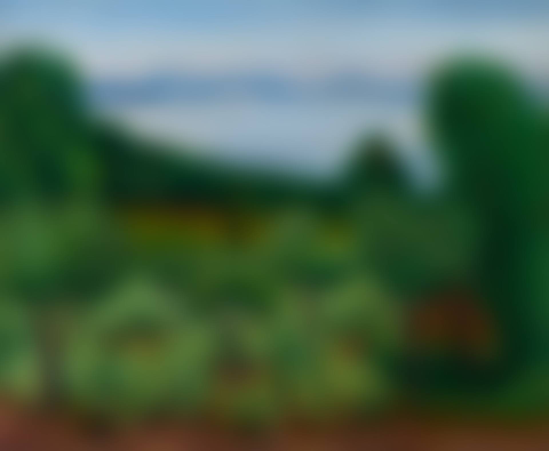 Baie de Saint-Tropez (preview)