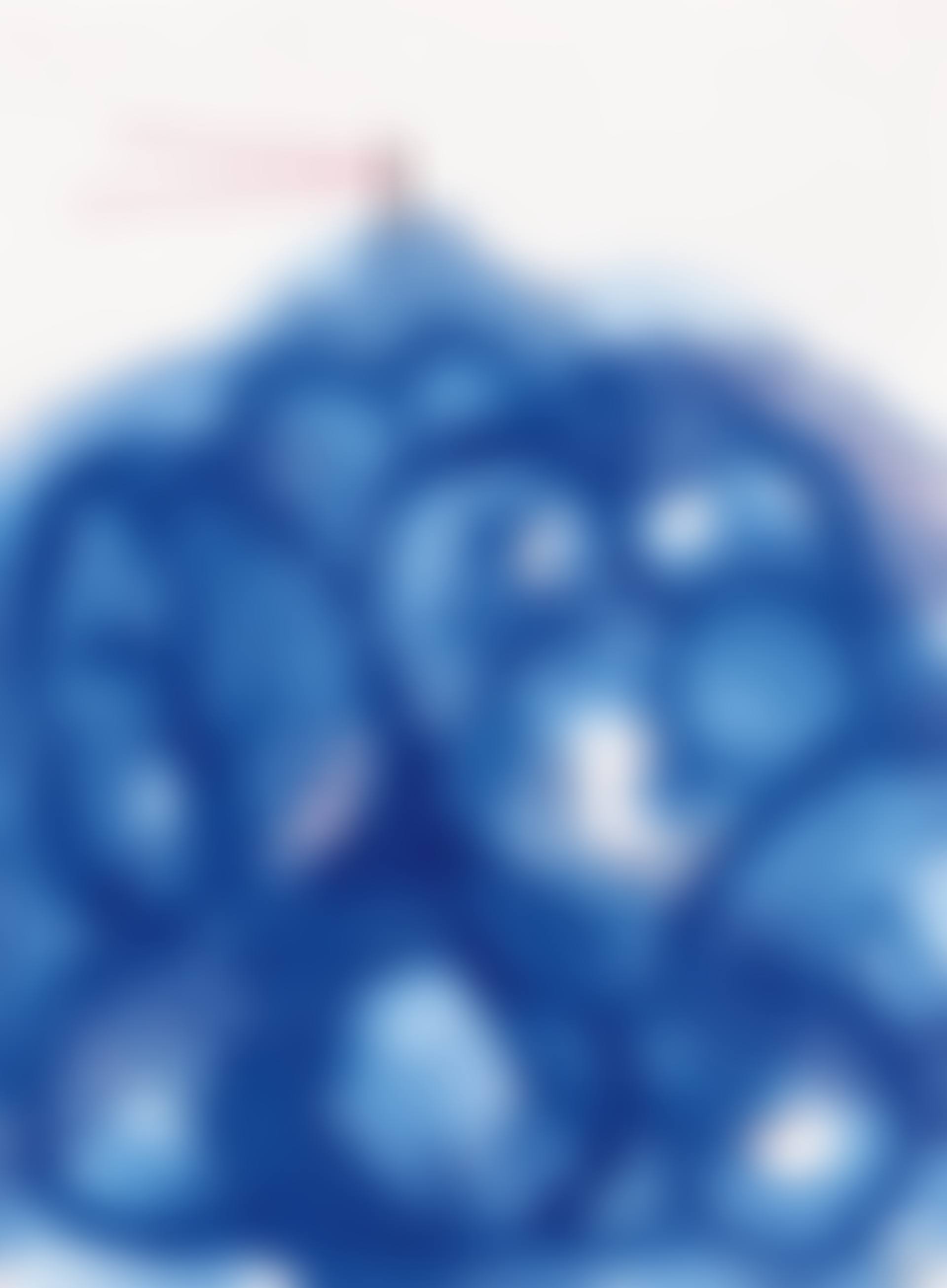 Connection to the Universe (preview)
