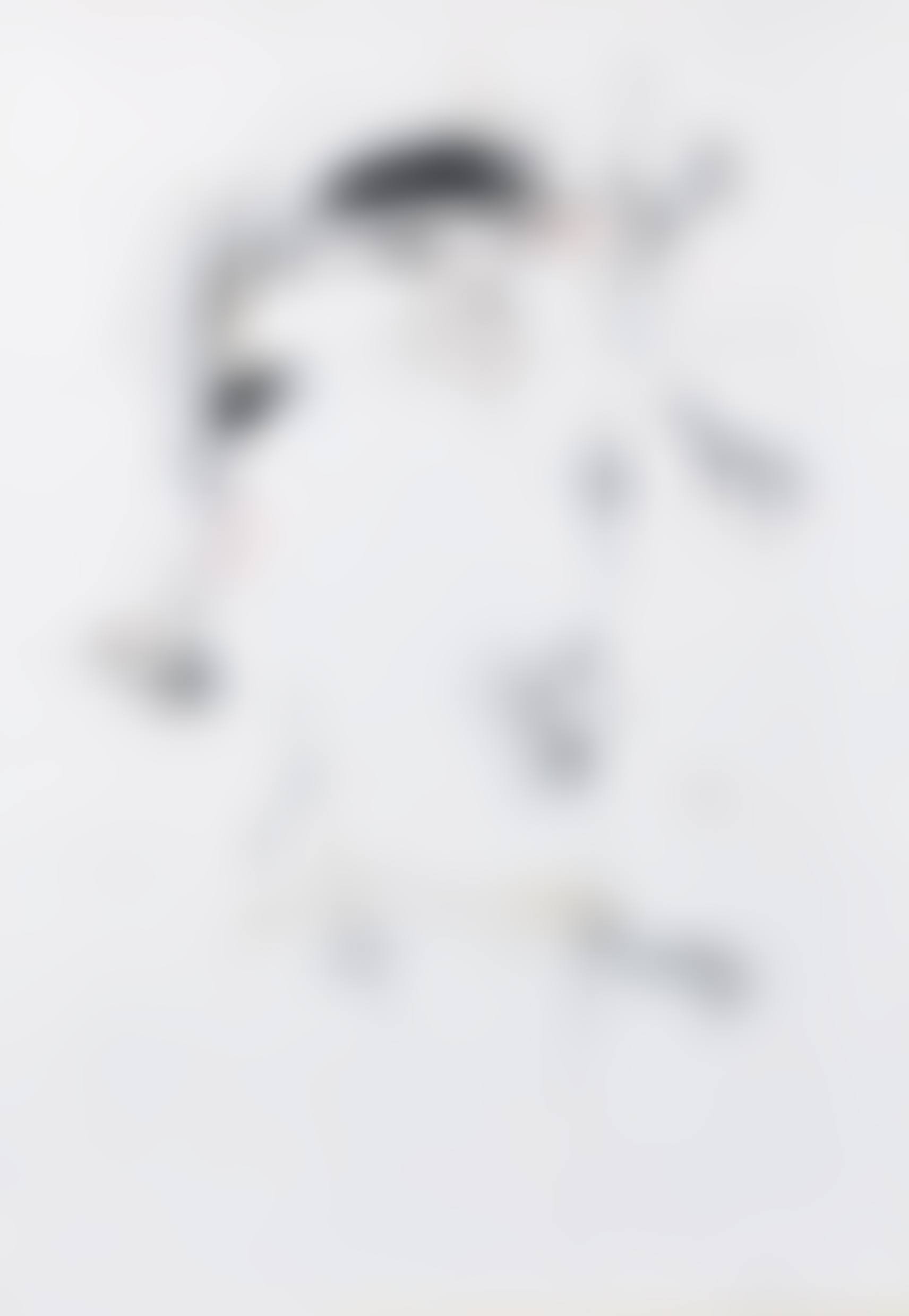 Alter Idem I (preview)