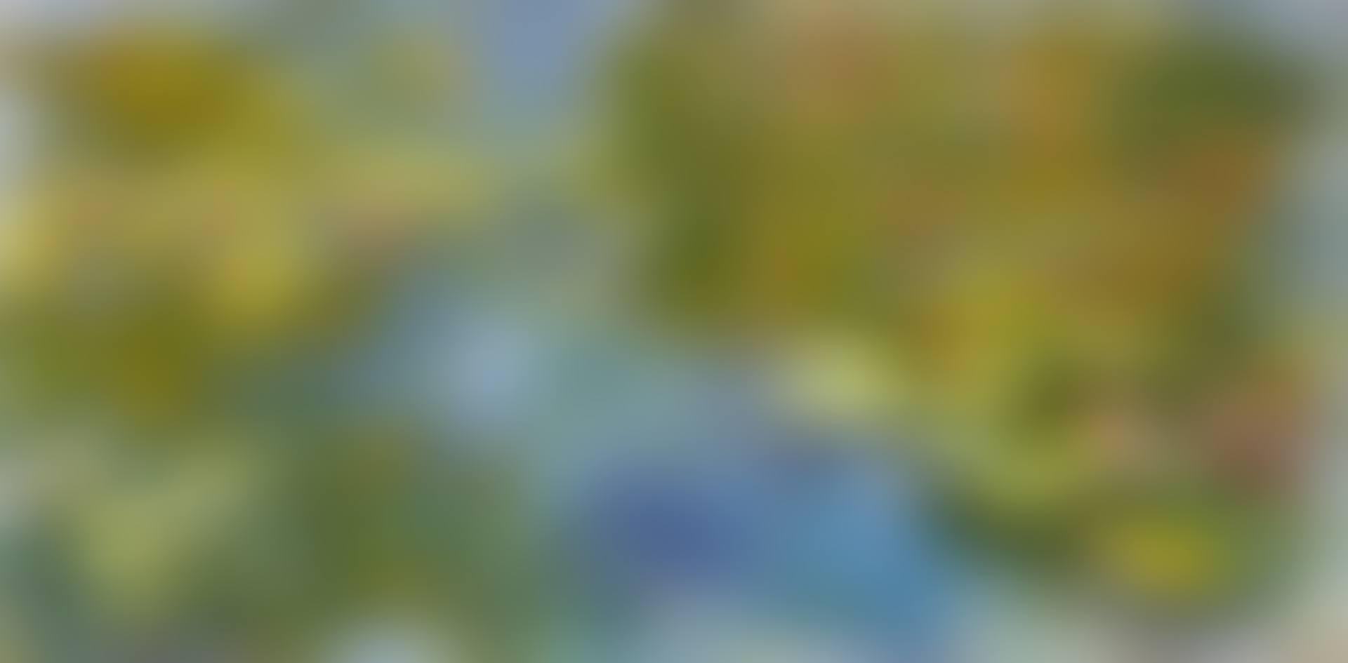Le bassin aux nymphéas (preview)
