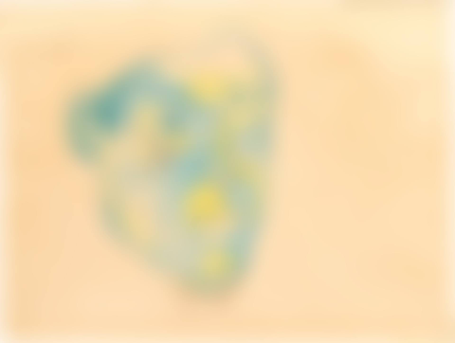 Masque de Meyer de Haan (preview)