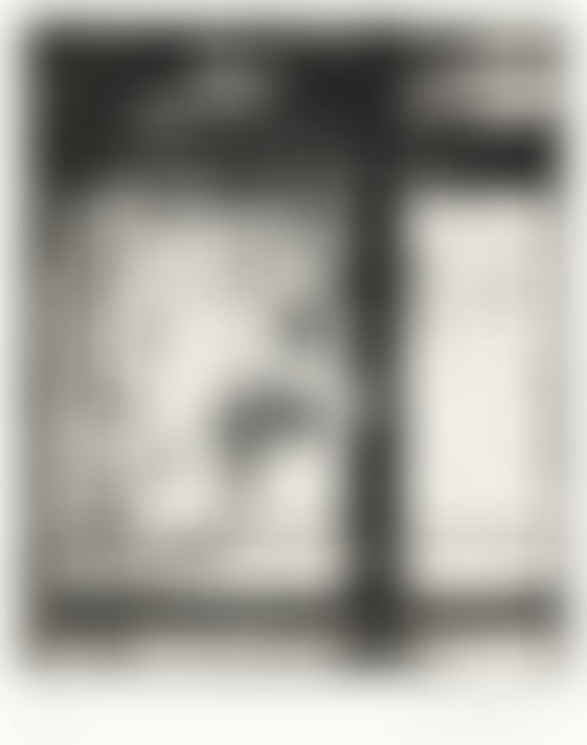 The Skowhegan Print (preview)