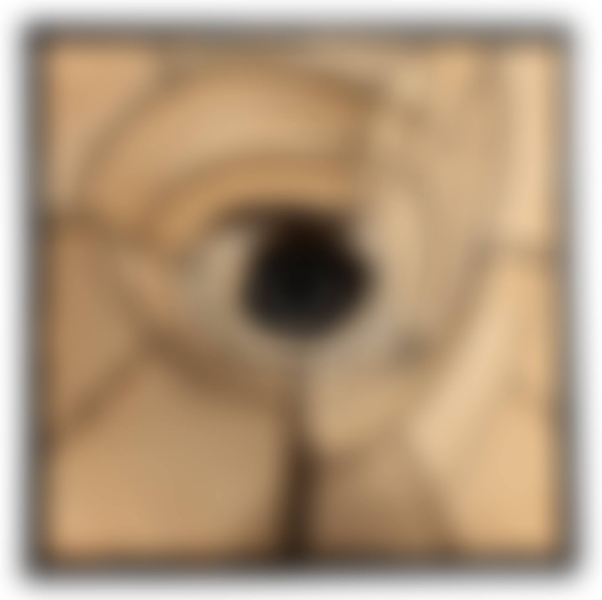 Untitled (preview)