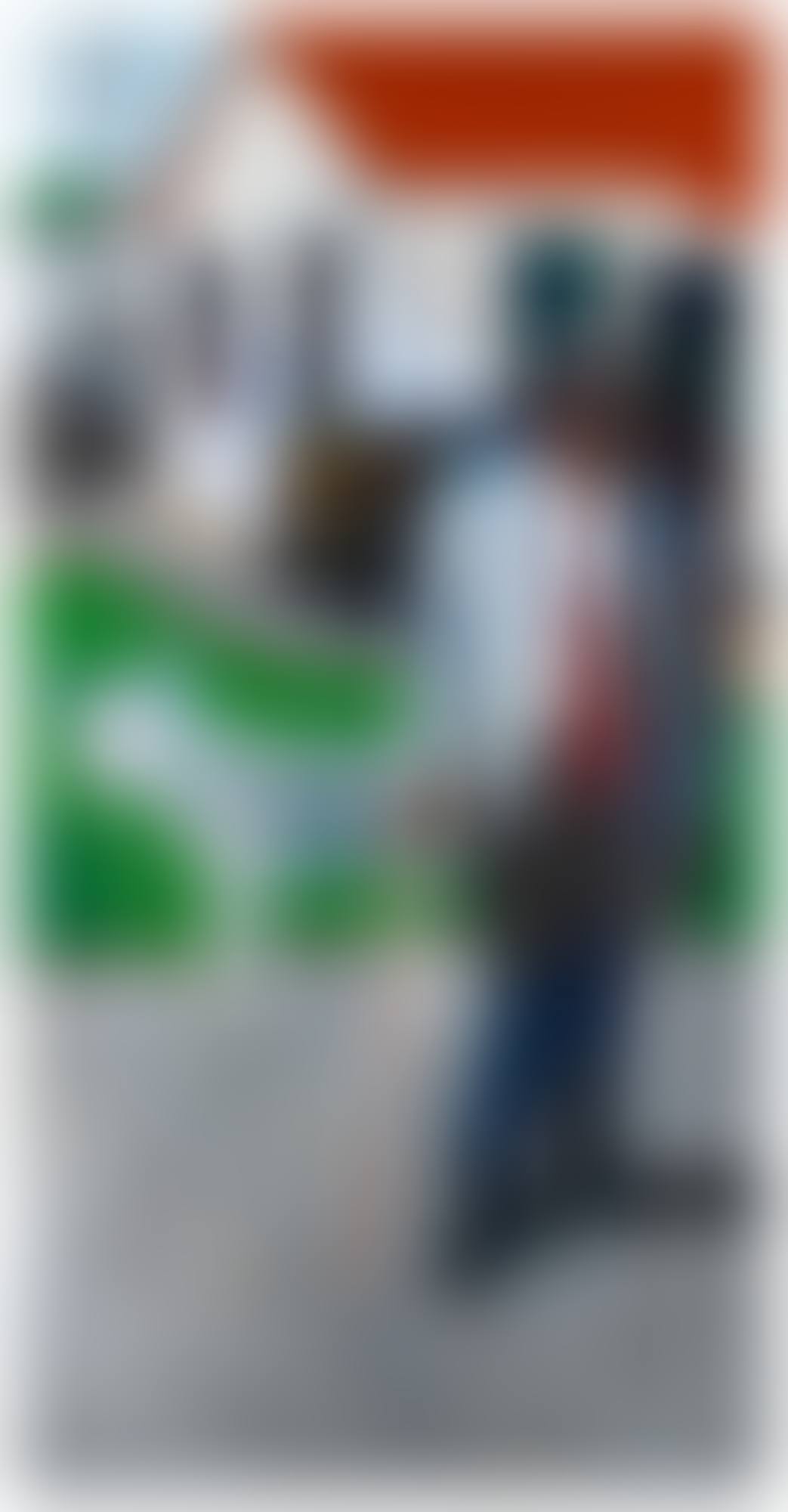 L.W. Robinson (preview)