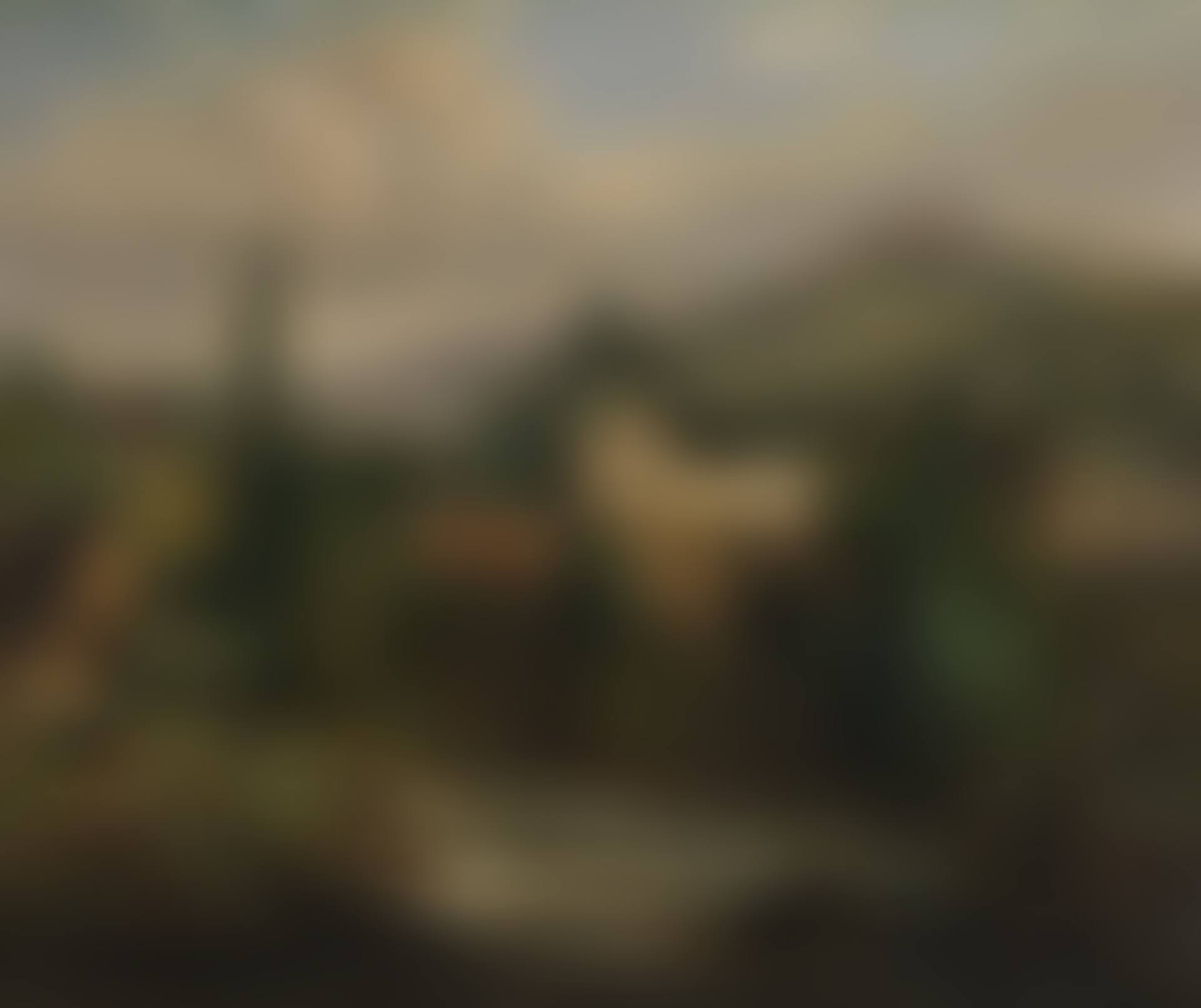 La rivière du village (preview)