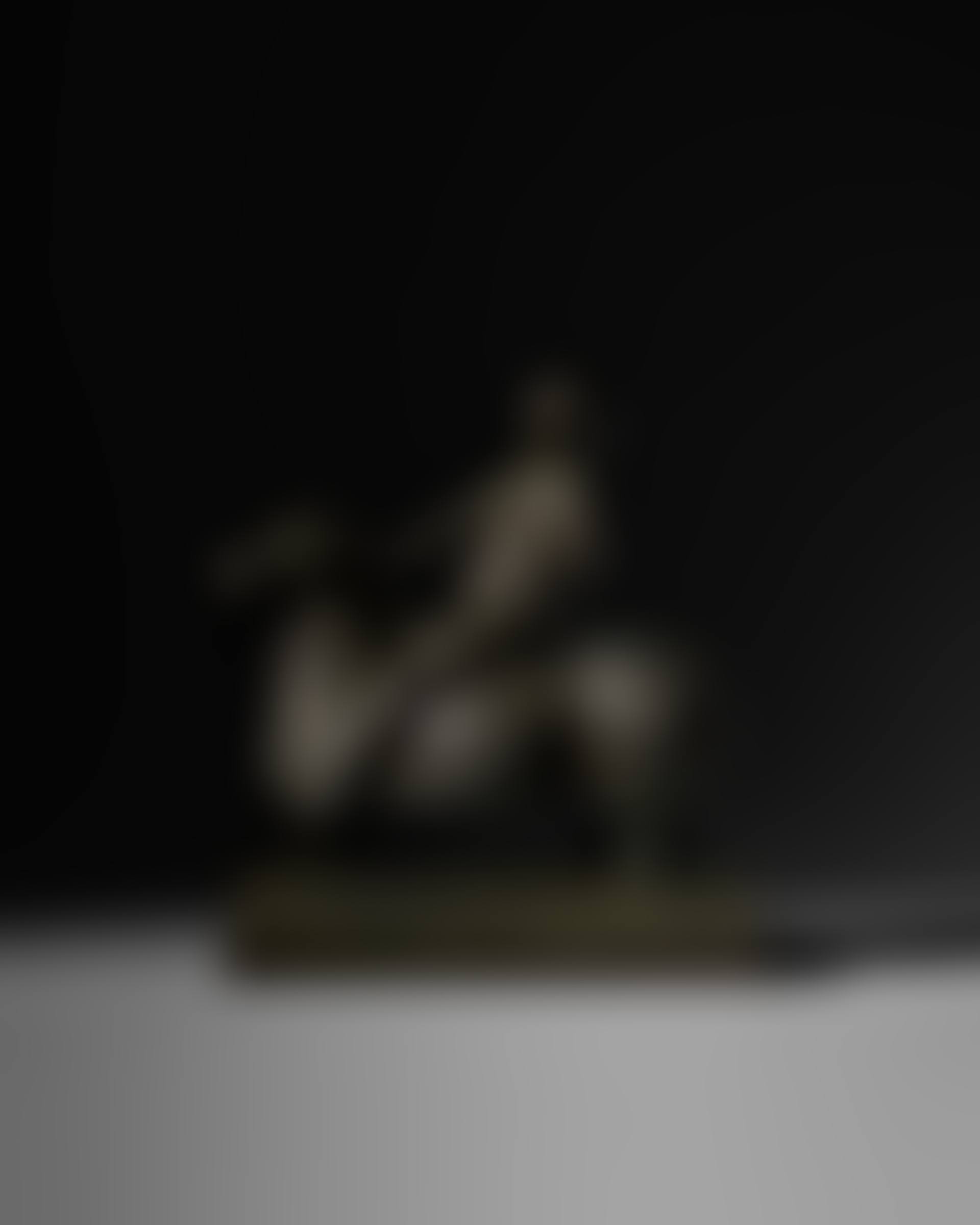 Piccolo cavaliere (preview)