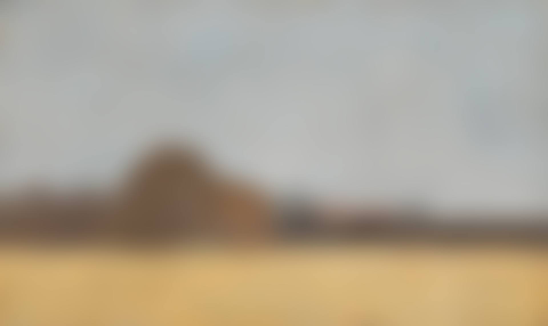 Landscape, Edge of Field (preview)