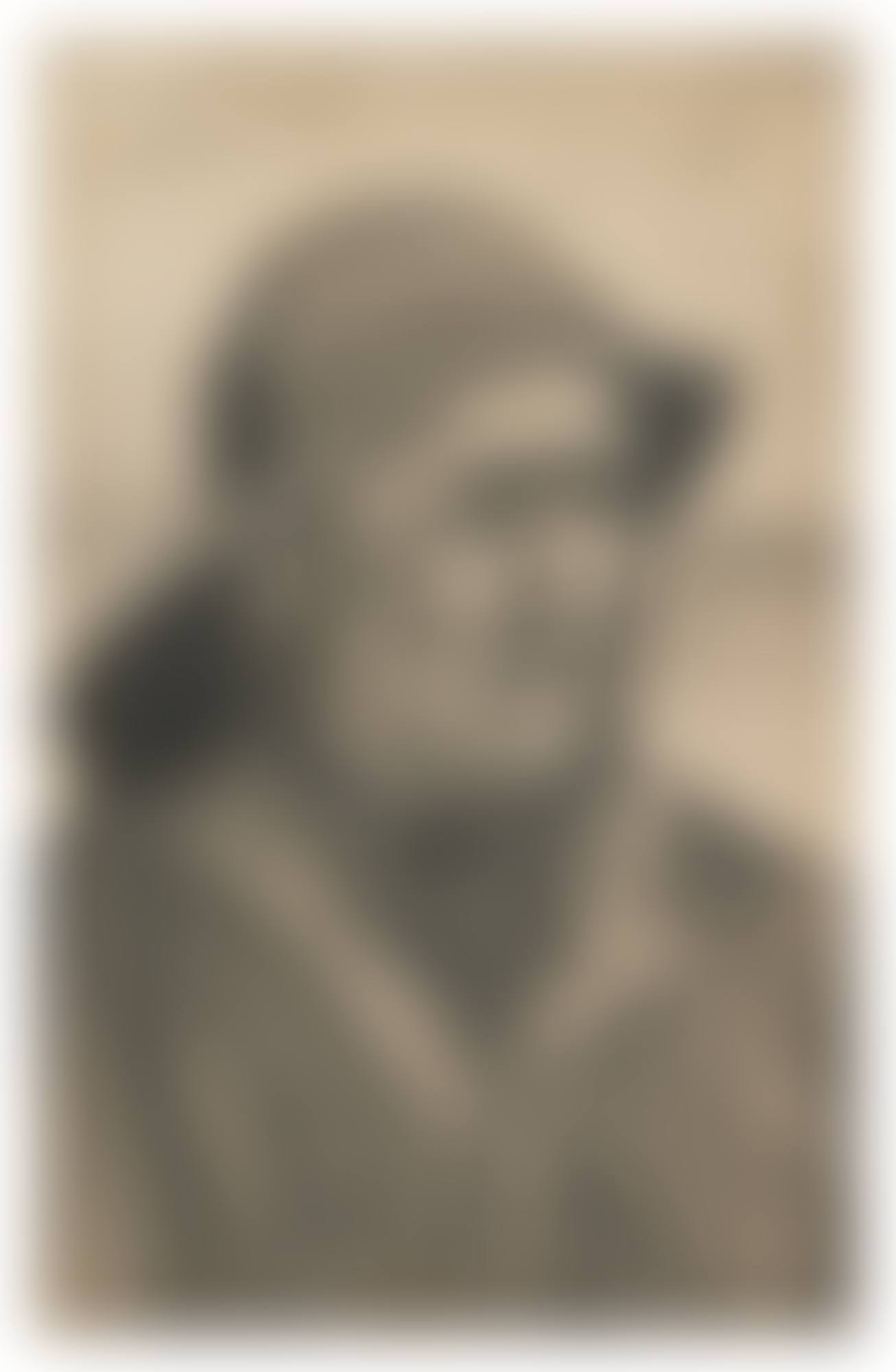 Hoofd van een visser, driekwart naar rechts gekeerd (Head of a Fisherman, Turned Three-Quarters to the Right) (preview)