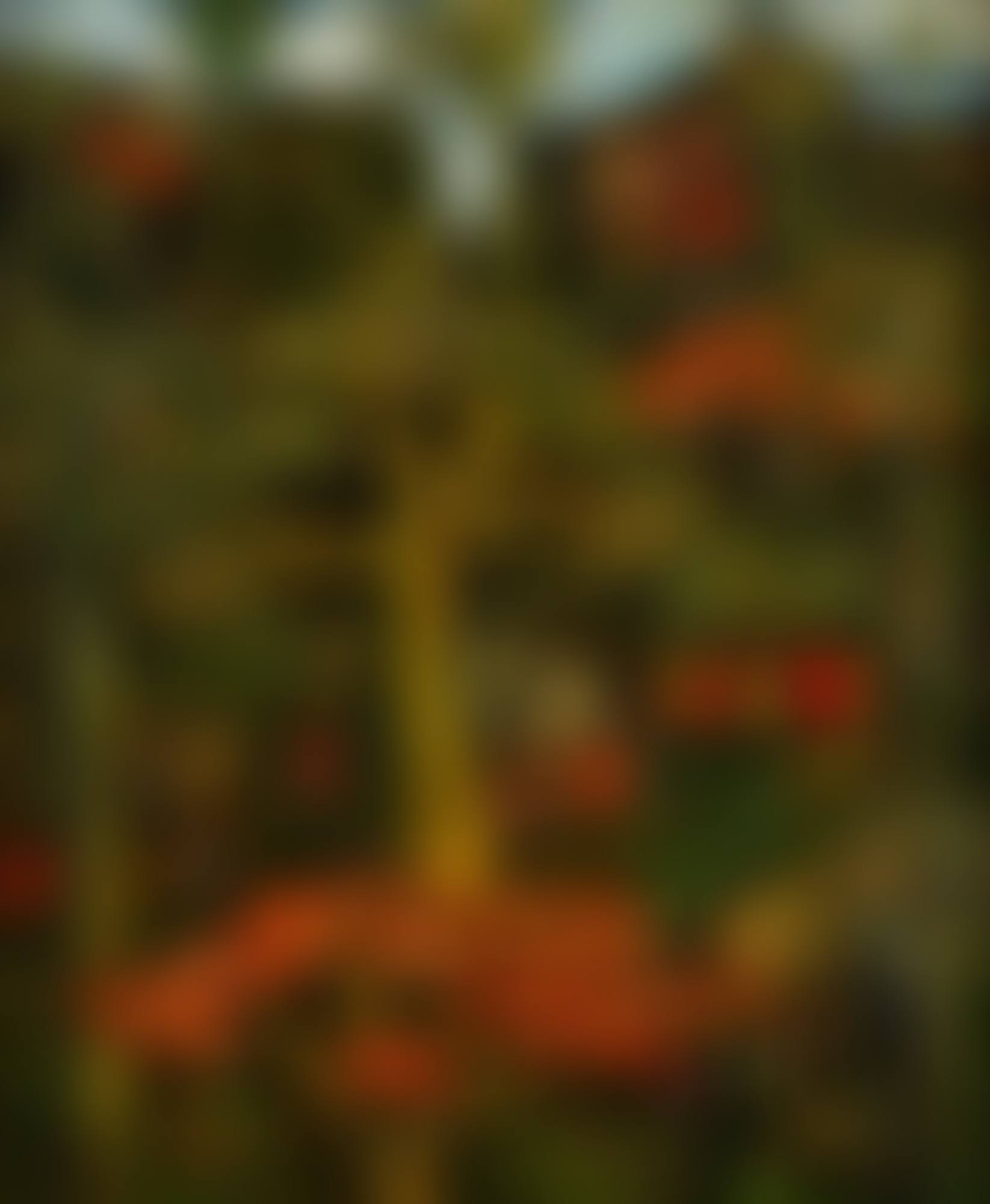Paisaje (preview)