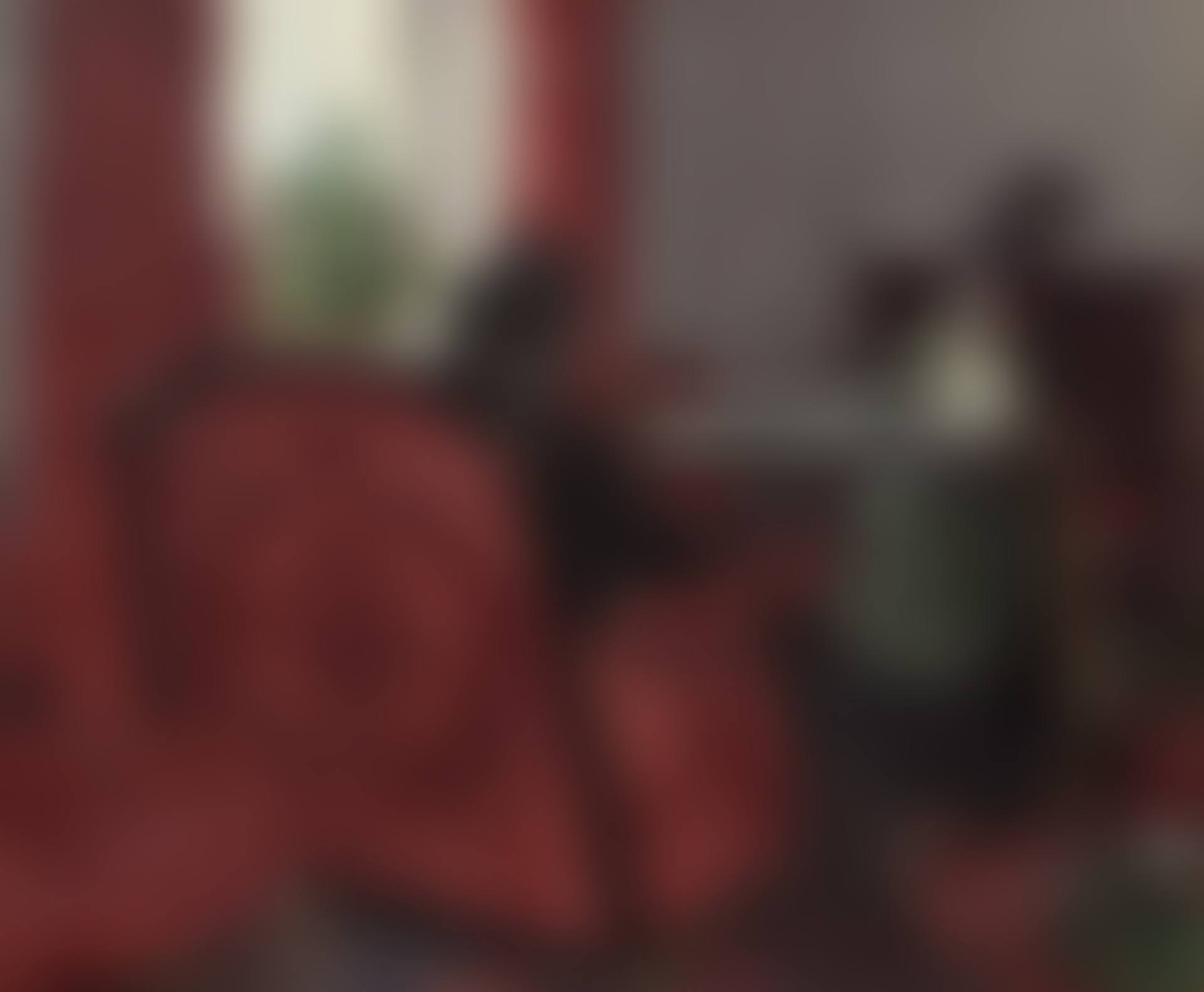 Portraits dans un intérieur (preview)
