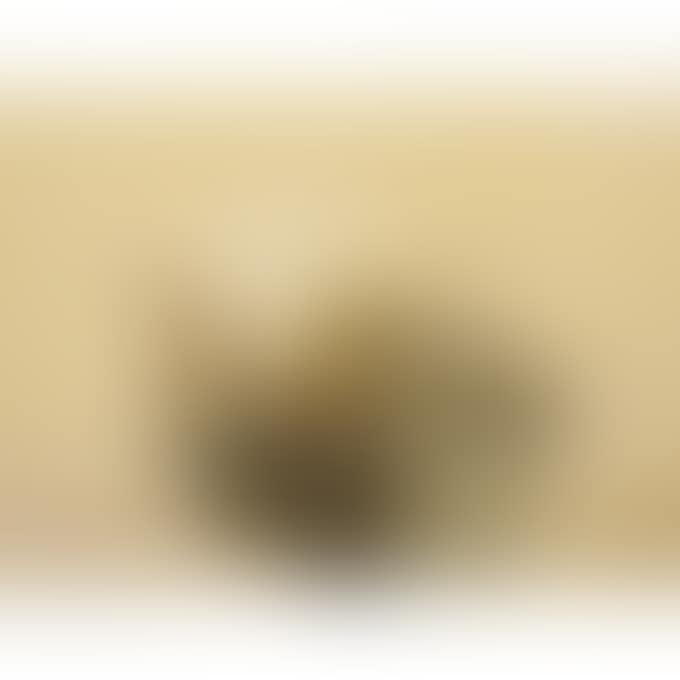 STILL LIFE (preview)