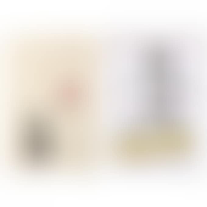 POSTER (2 WORKS) (preview)