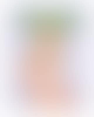 Flicka (preview)