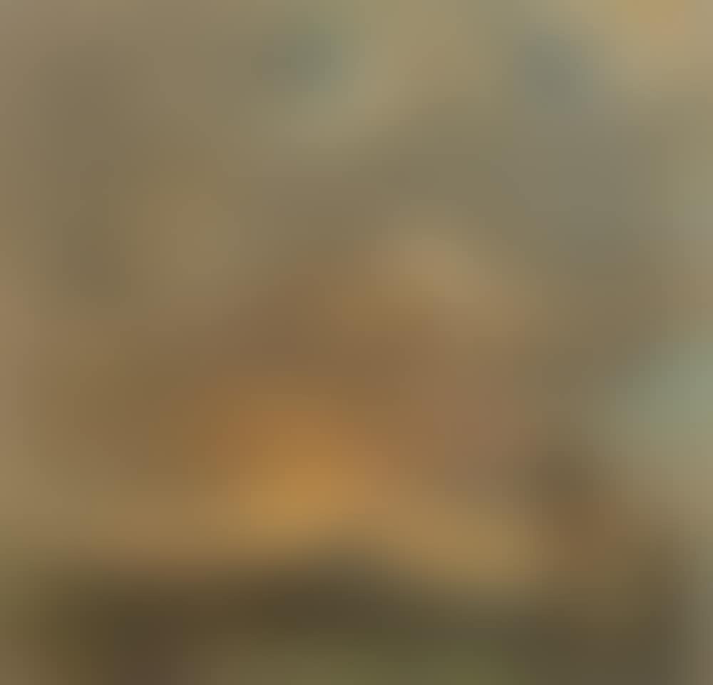 Clouds in evening light (preview)