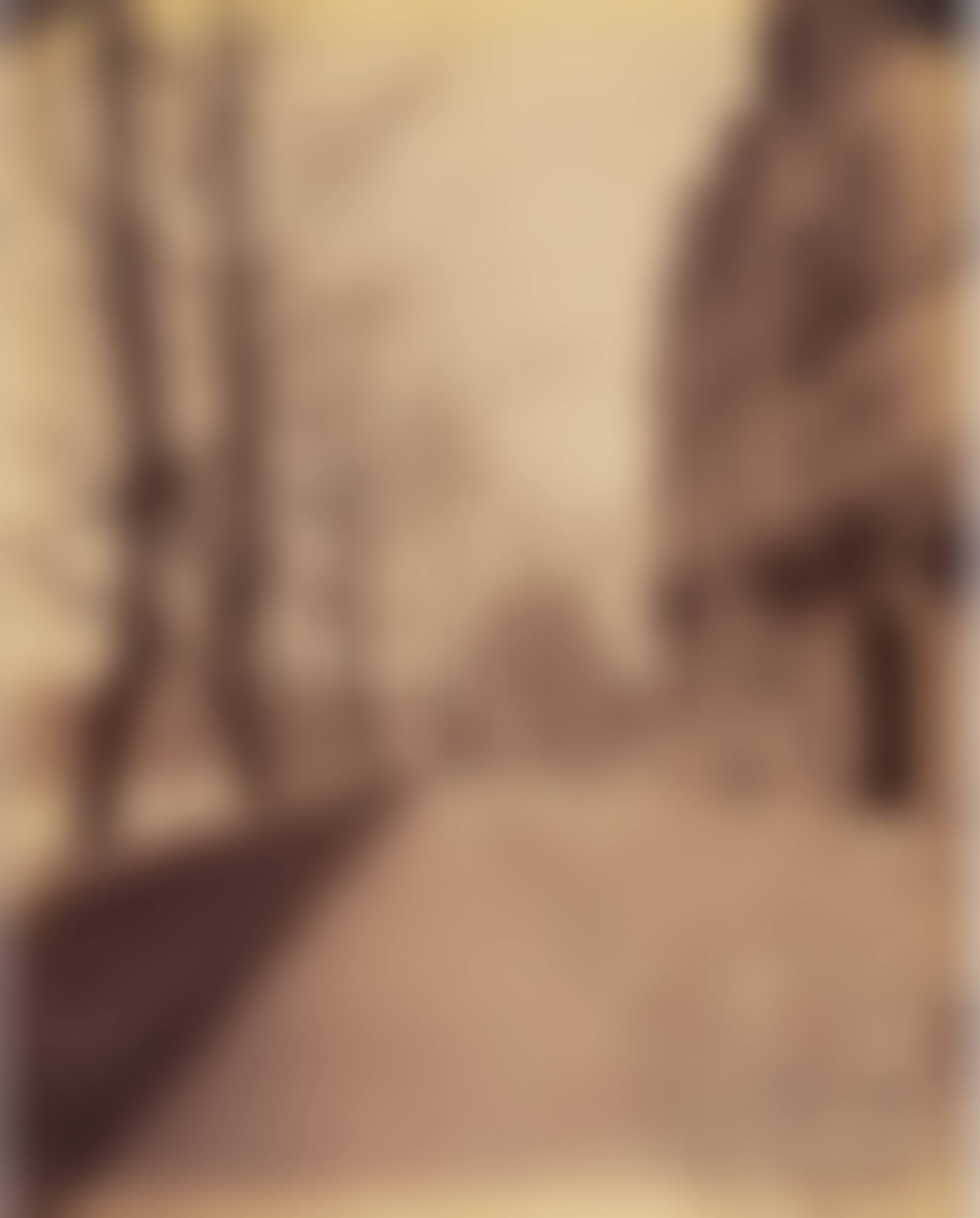 Quai d'Orléans, Ile Saint-Louis (preview)