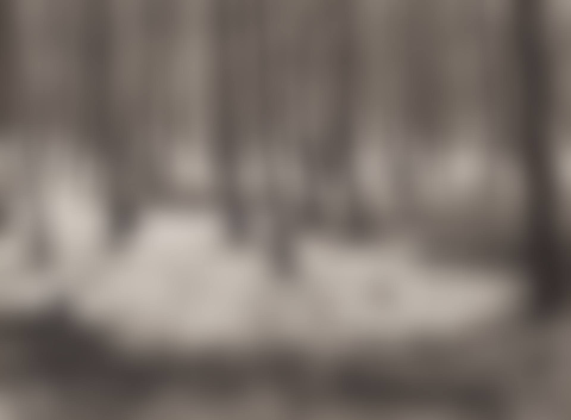 Erlenbruch (preview)
