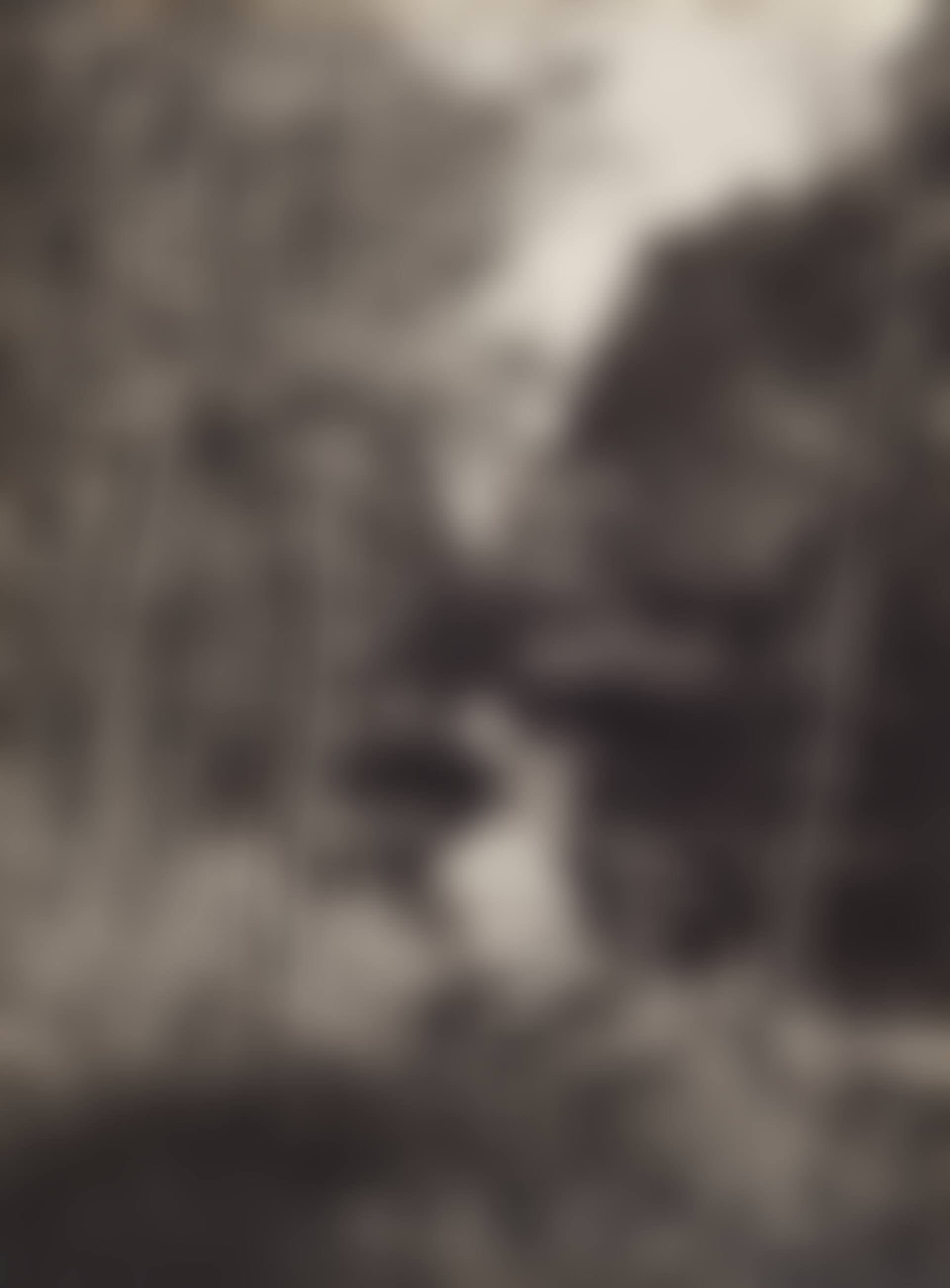 Altrheinlandschaft (preview)