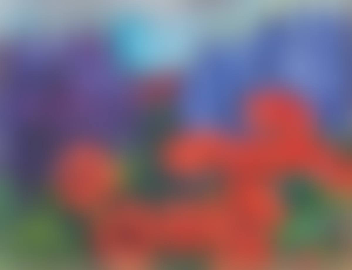 ”Mohn und blaue Lupinen” (preview)