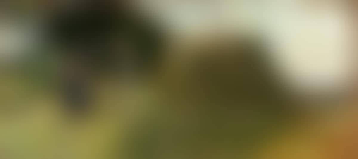 ”Bei der Heuernte” (preview)