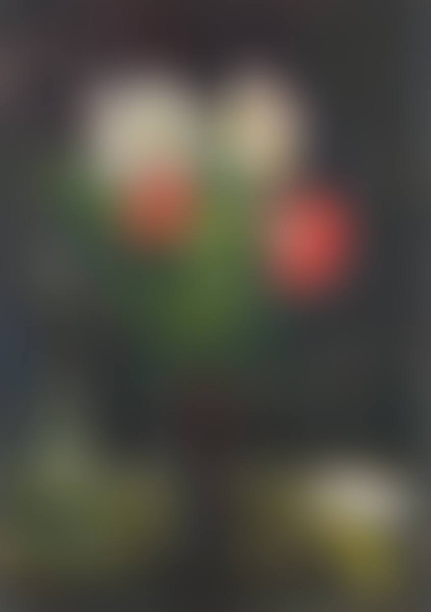 ”Amaryllis” (preview)