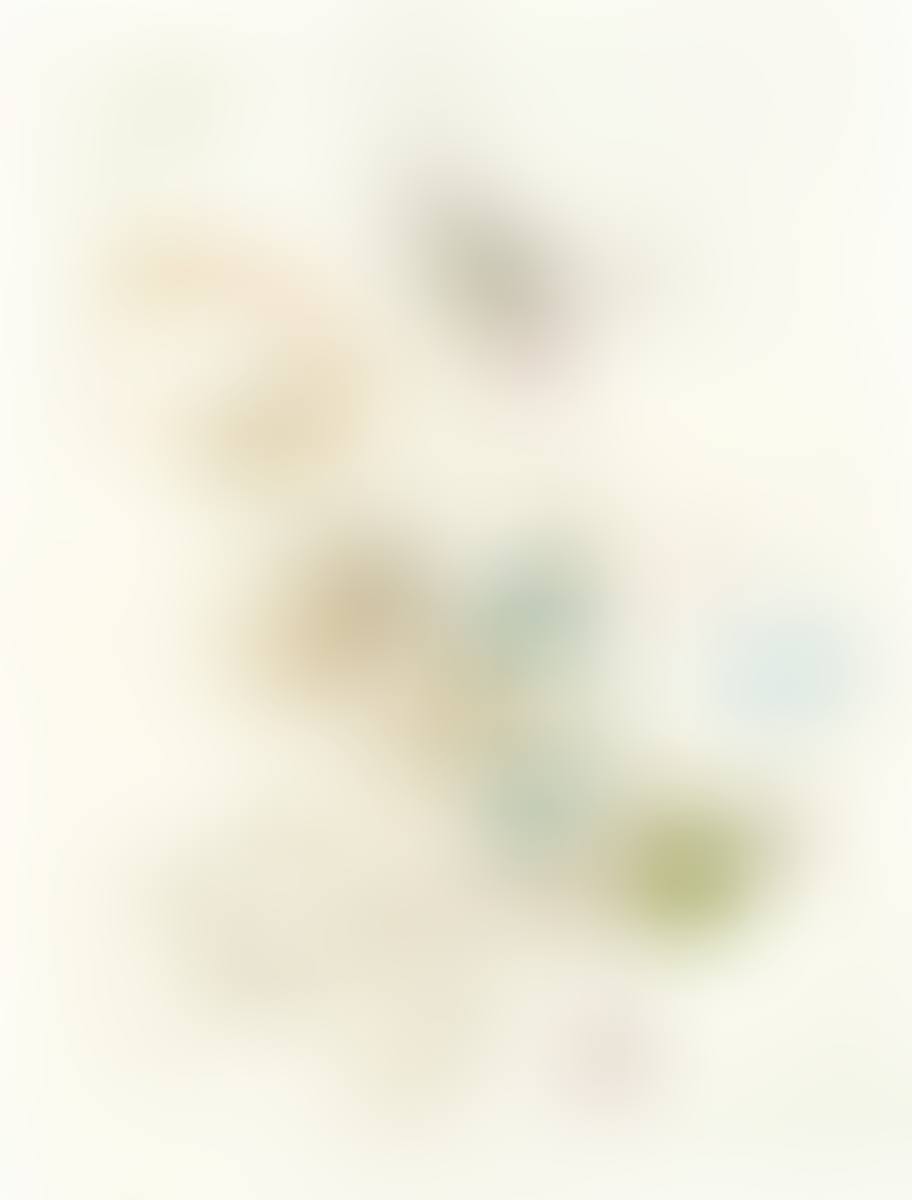 ”The Missing Stone” (preview)