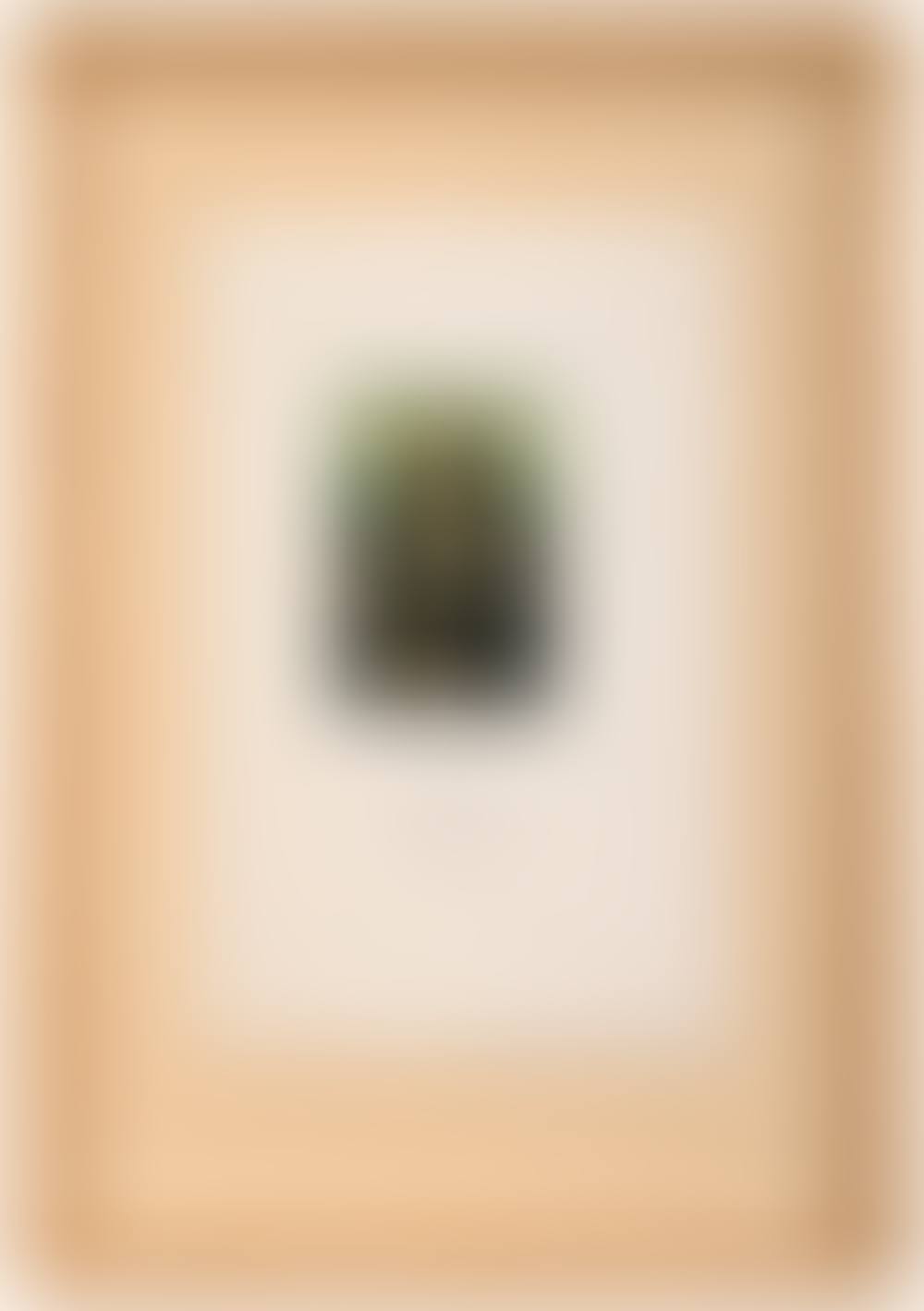 L.H.O.O.Q. rasée (preview)