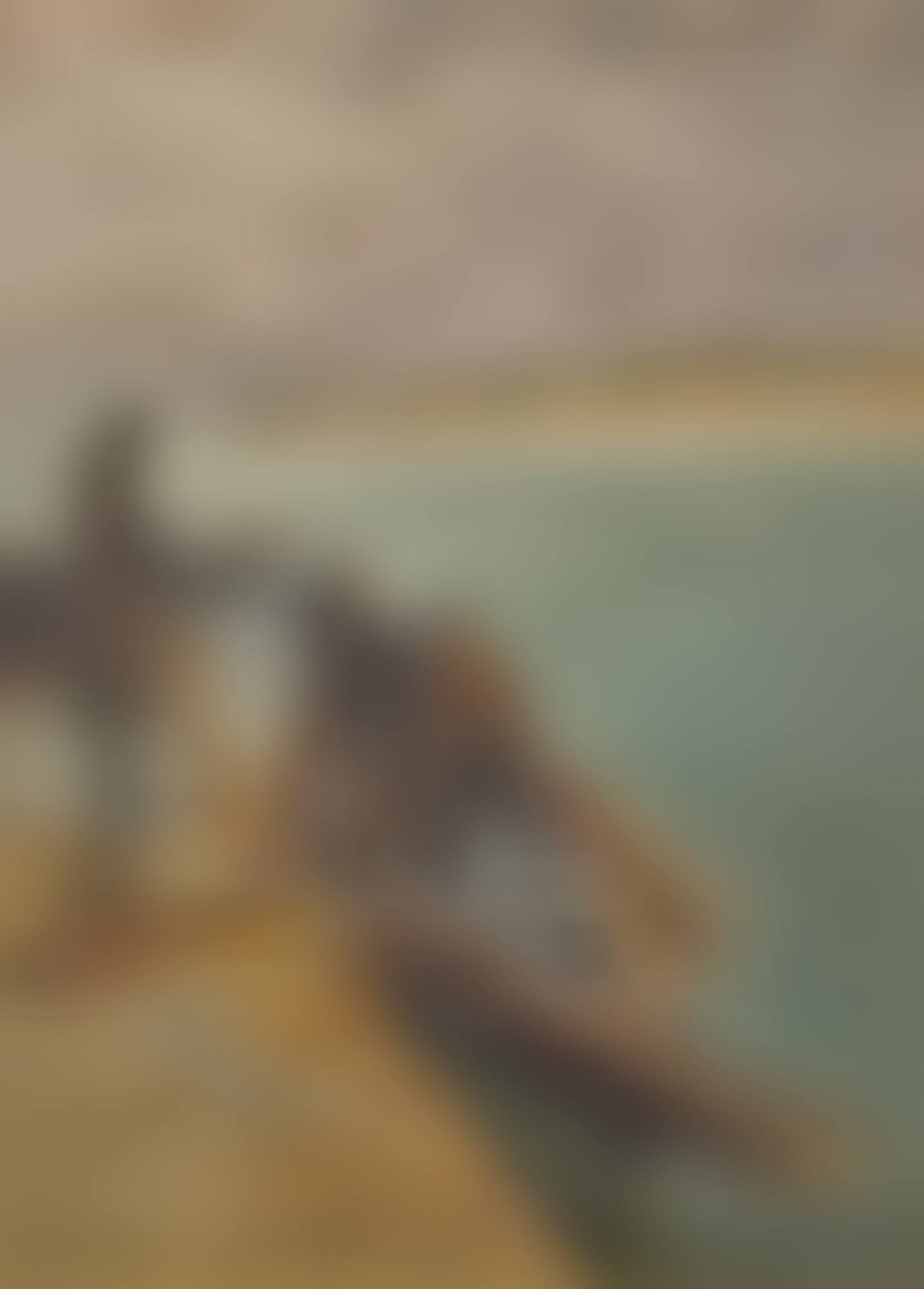Unloading the Catch (preview)