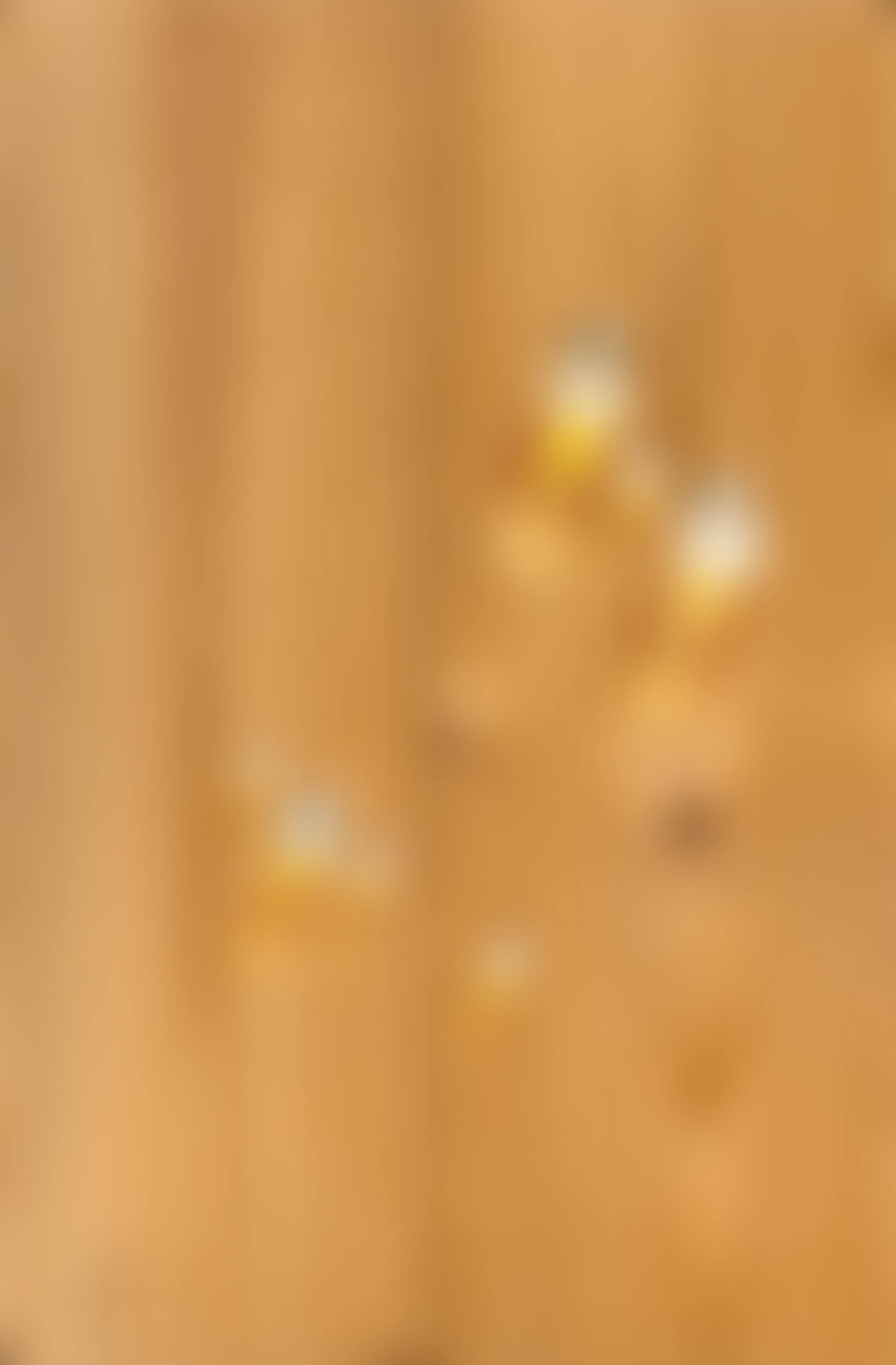 Waterdrops SH4000-50 (preview)