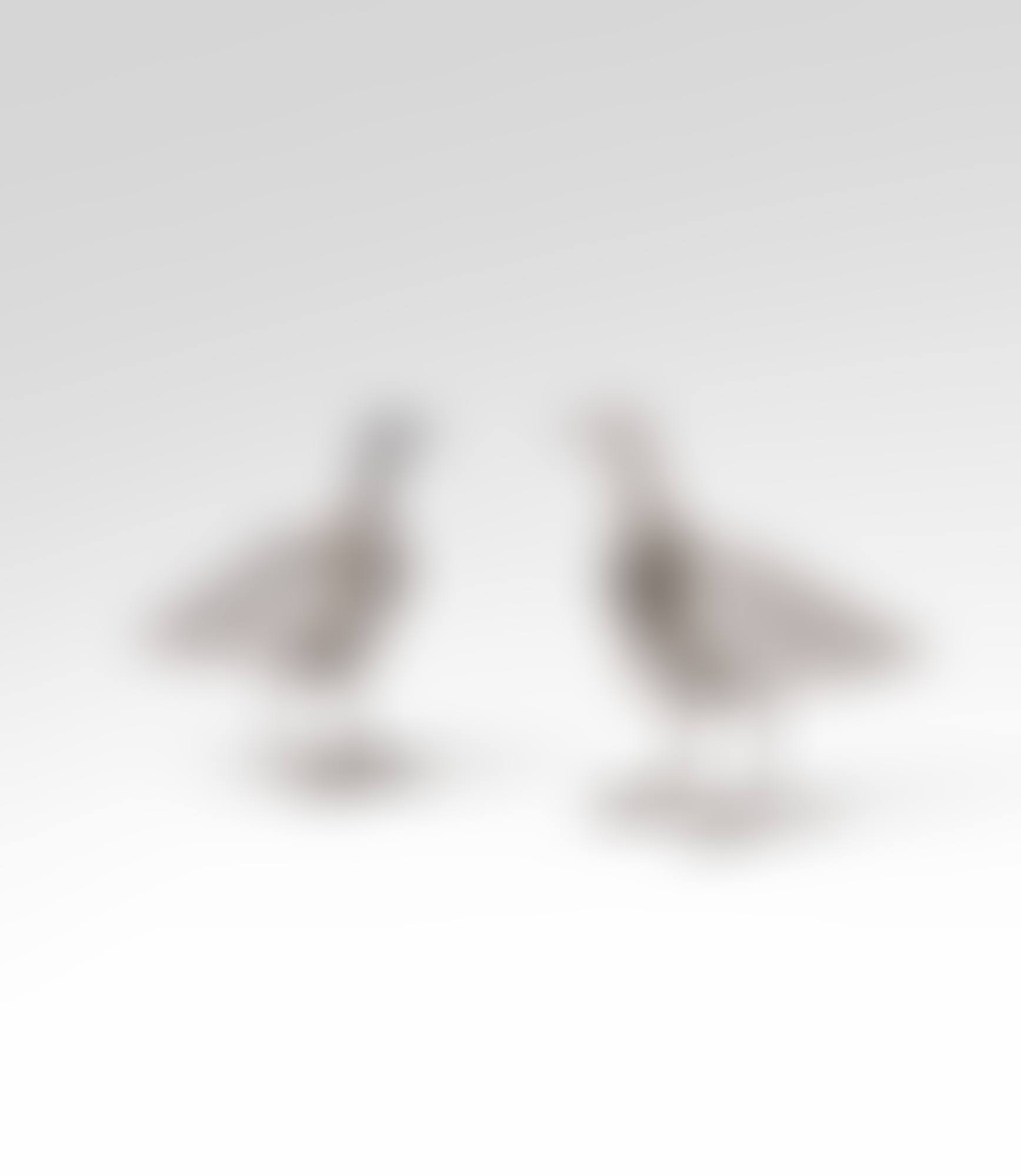 Paire de bougeoirs Oiseau d'argent (preview)