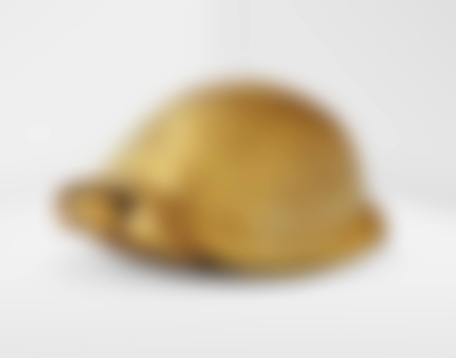 TORTUE (preview)