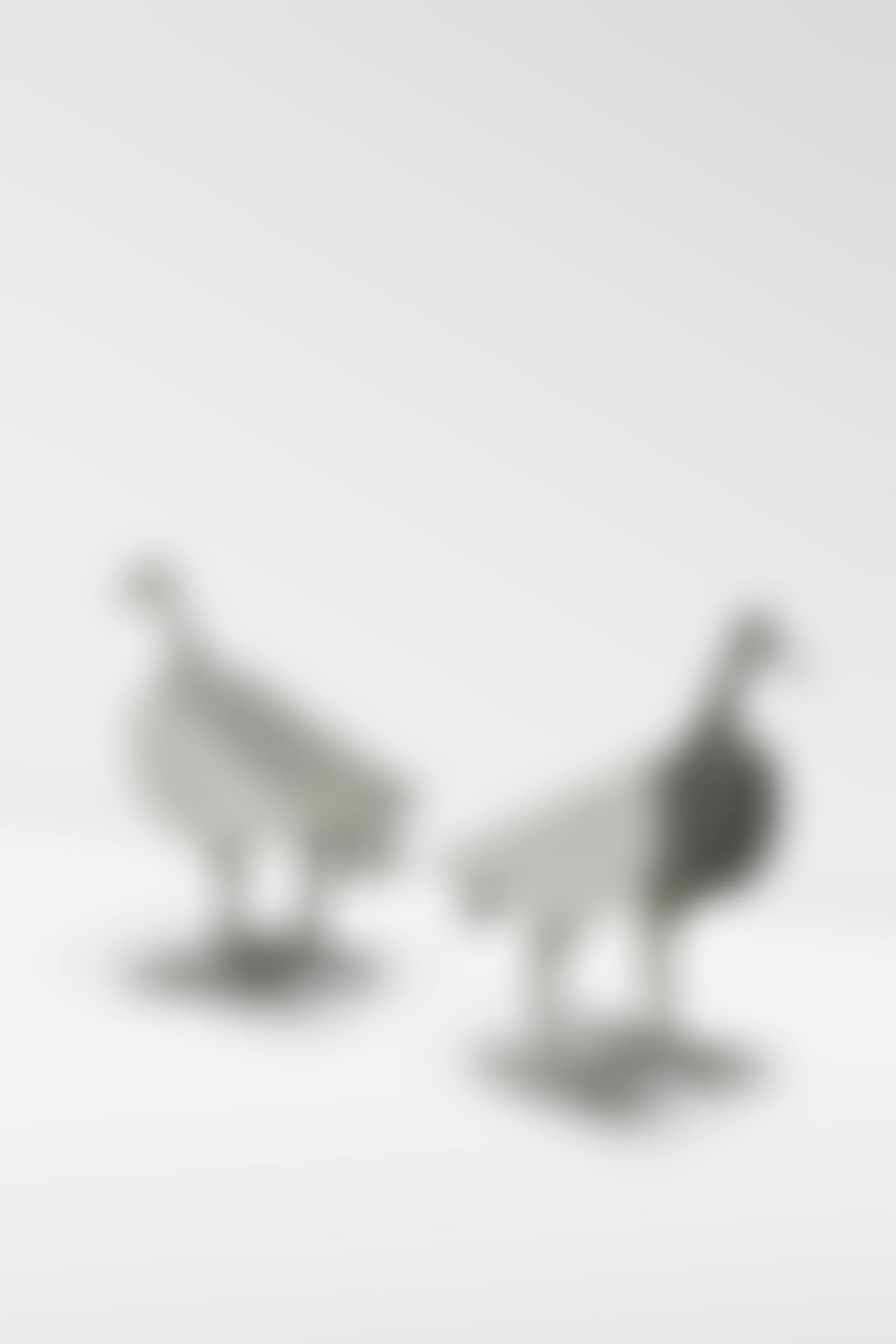 PAIRE DE FAUTEUILS 'OISEAU D'ARGENT' (preview)