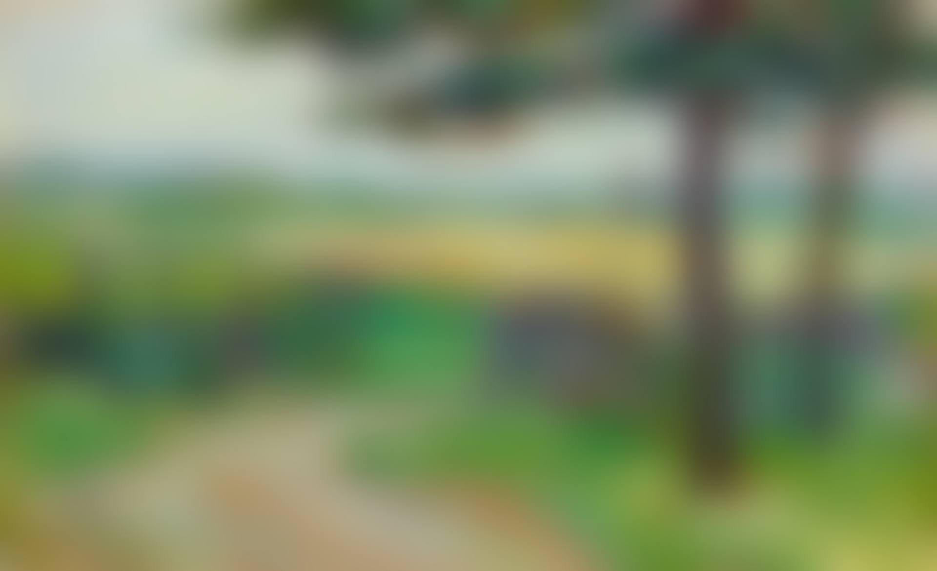 Weg mit Gatter (preview)