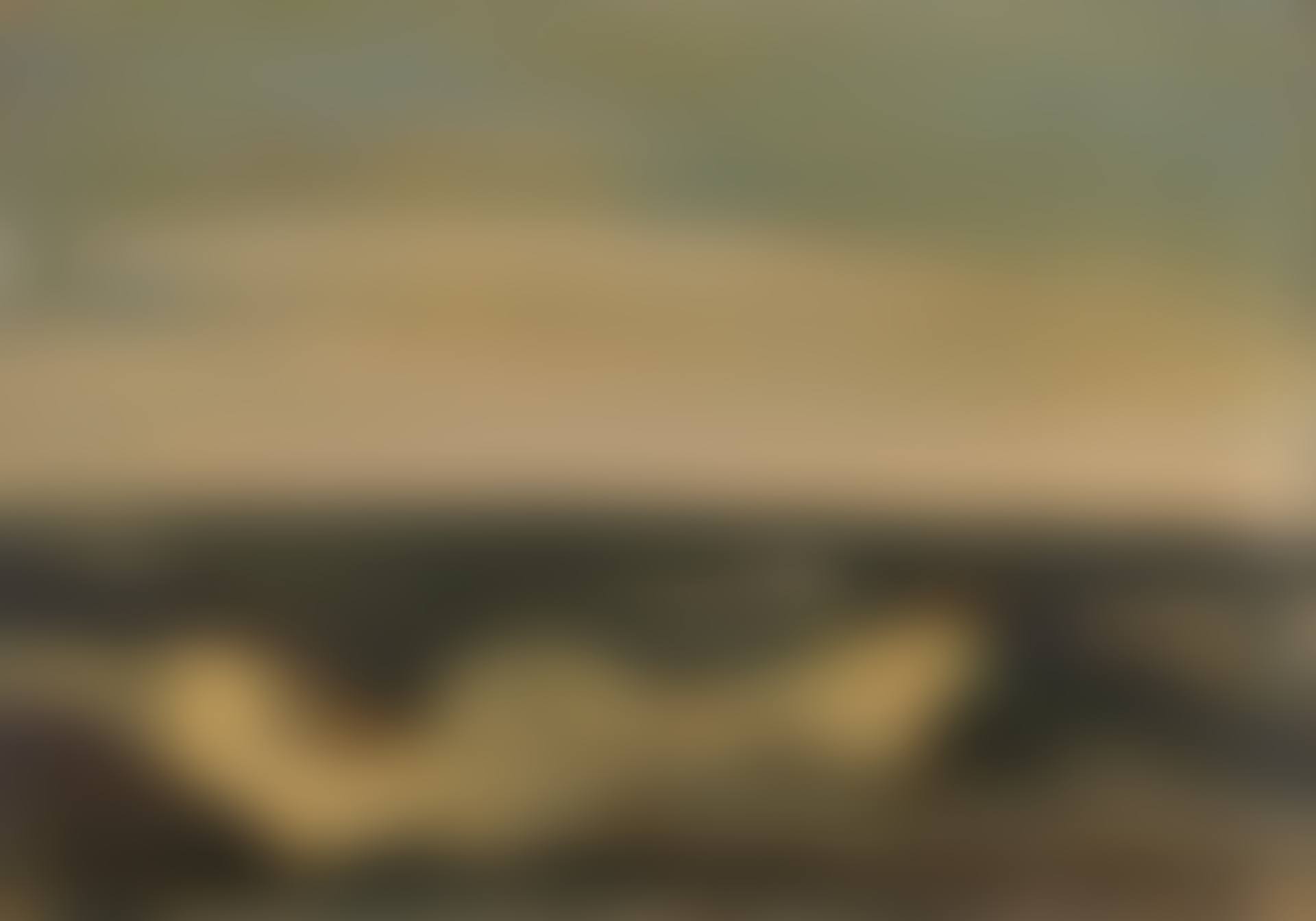 Dünenlandschaft (preview)