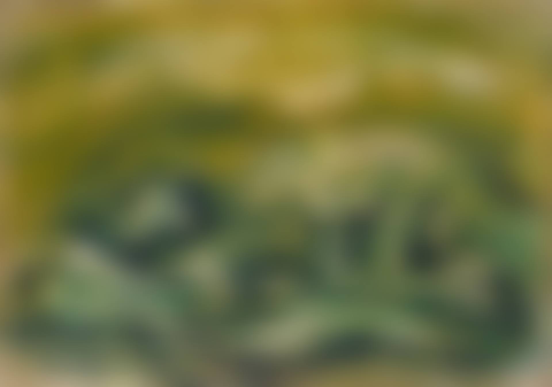 Paysage (preview)