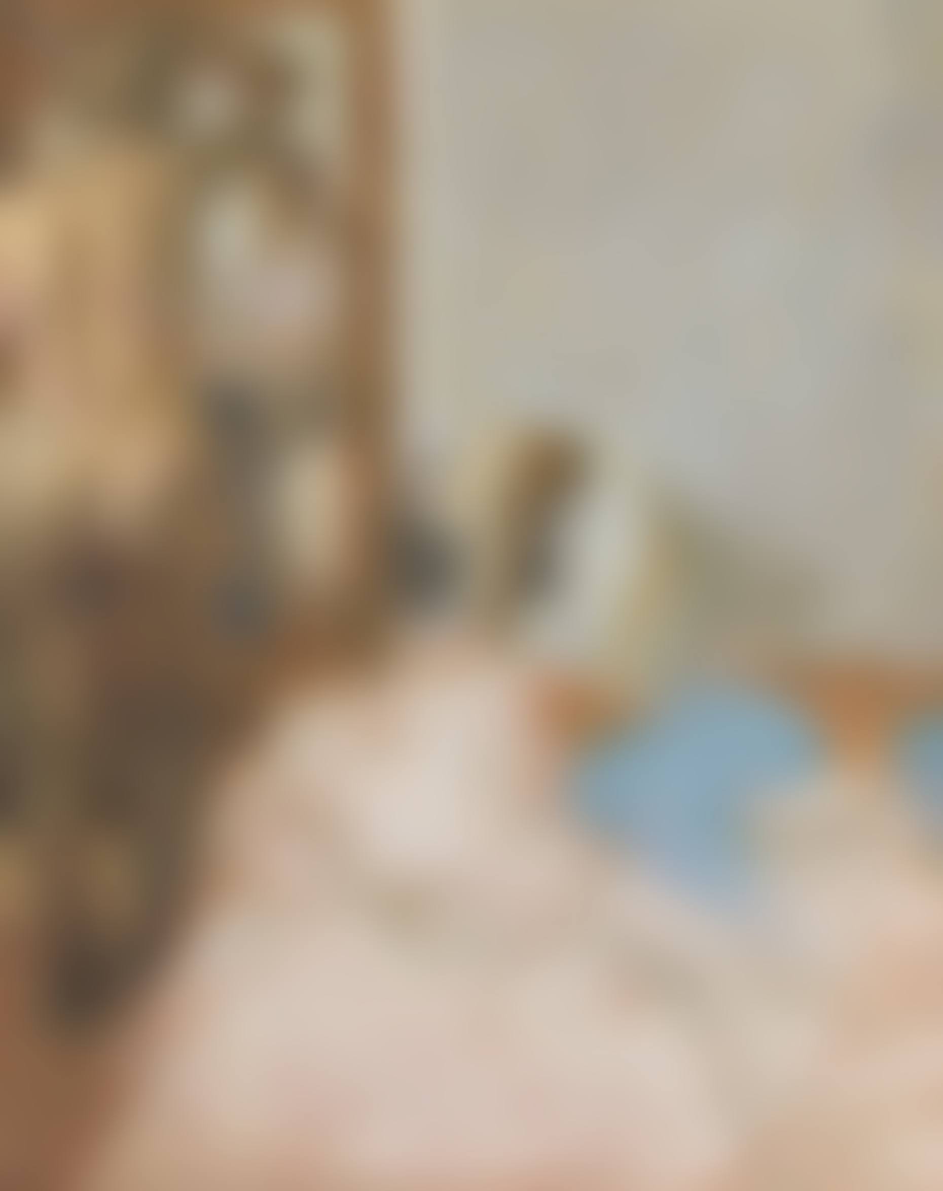 Venice, The Bedroom Mirror (preview)