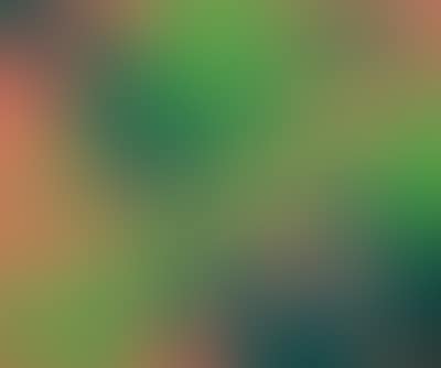 Si snoda per magia (preview)