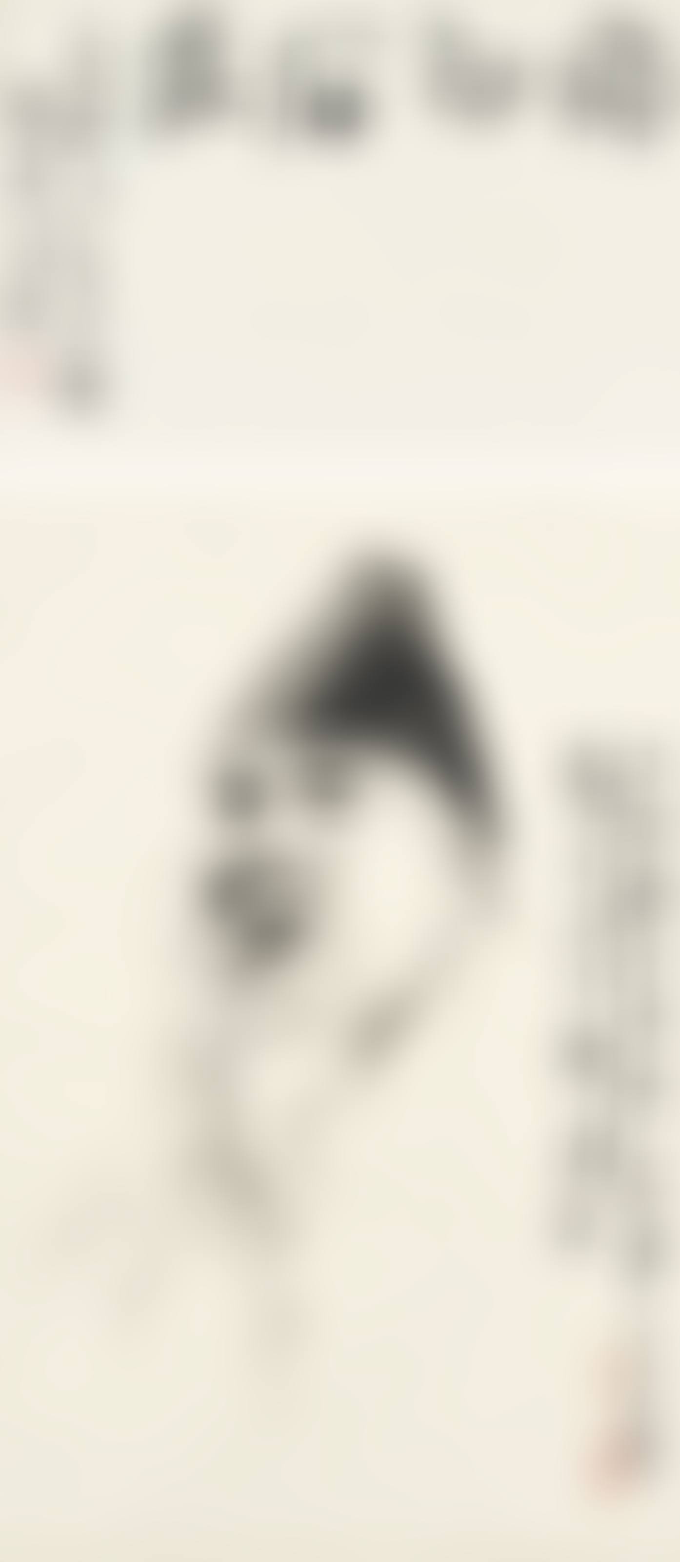 Portrait of Qi Baishi (preview)