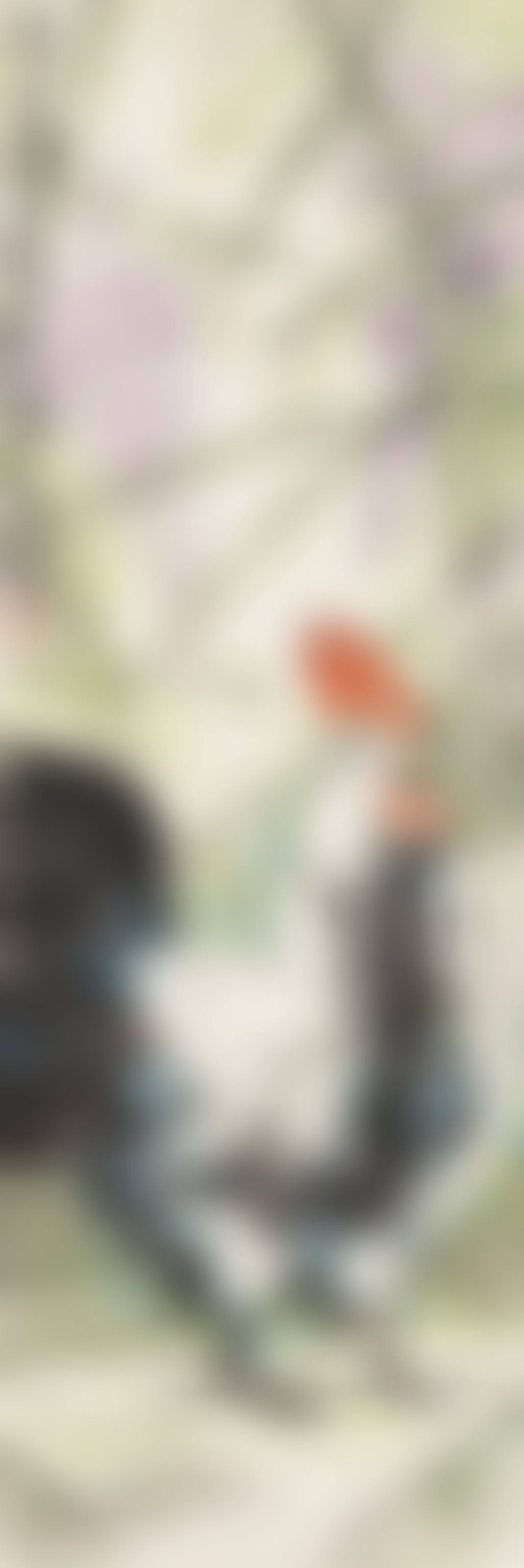 Rooster and Wisteria (preview)