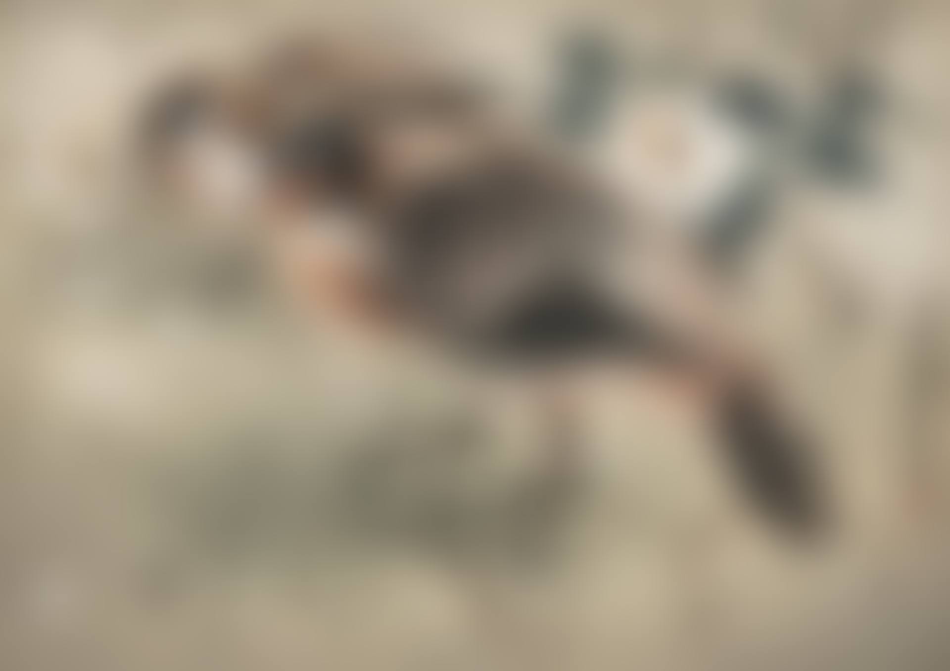 Pheasants (preview)