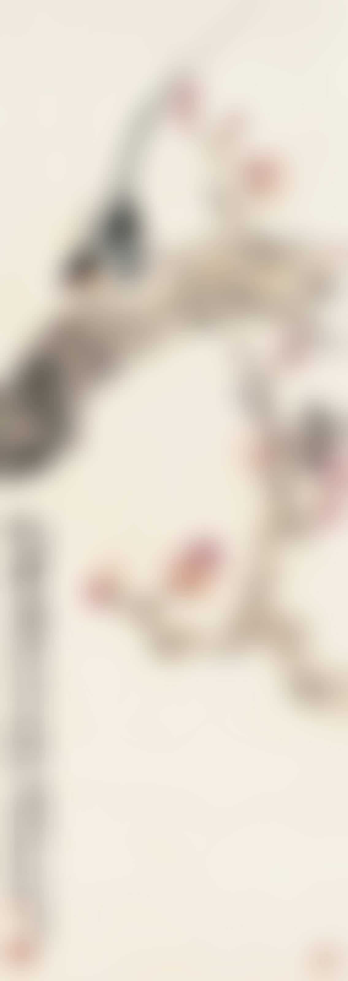 Flycatcher on Prunus (preview)