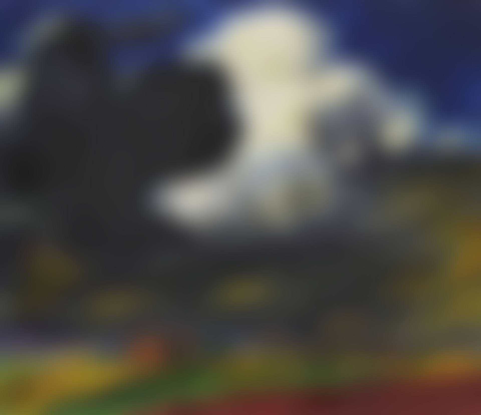 Nachmittagswolken, Friesland (preview)