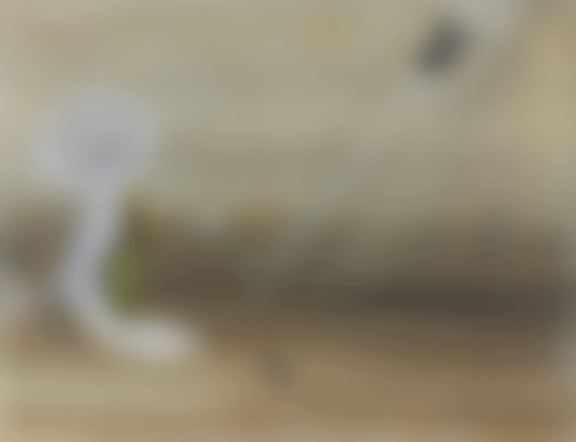 Sans titre (preview)