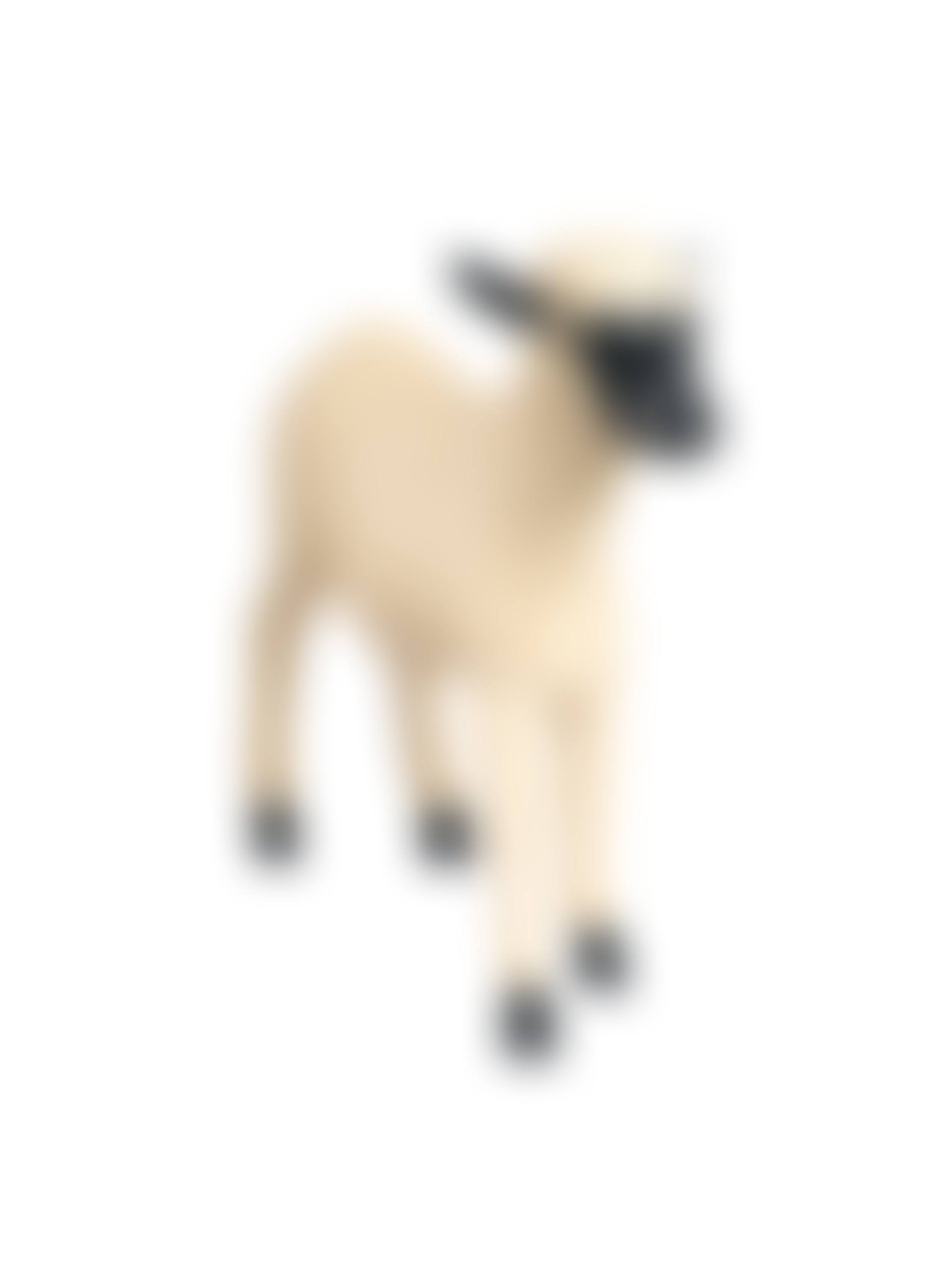 Agneau (from the Nouveaux Moutons series) (preview)