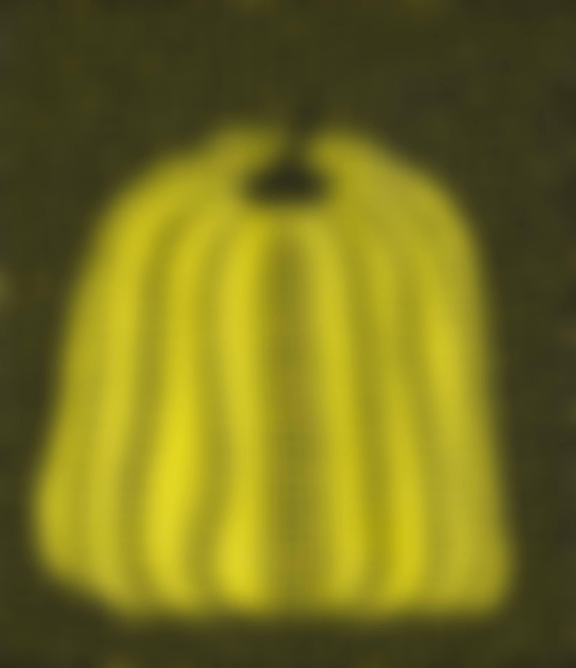 Pumpkin (preview)