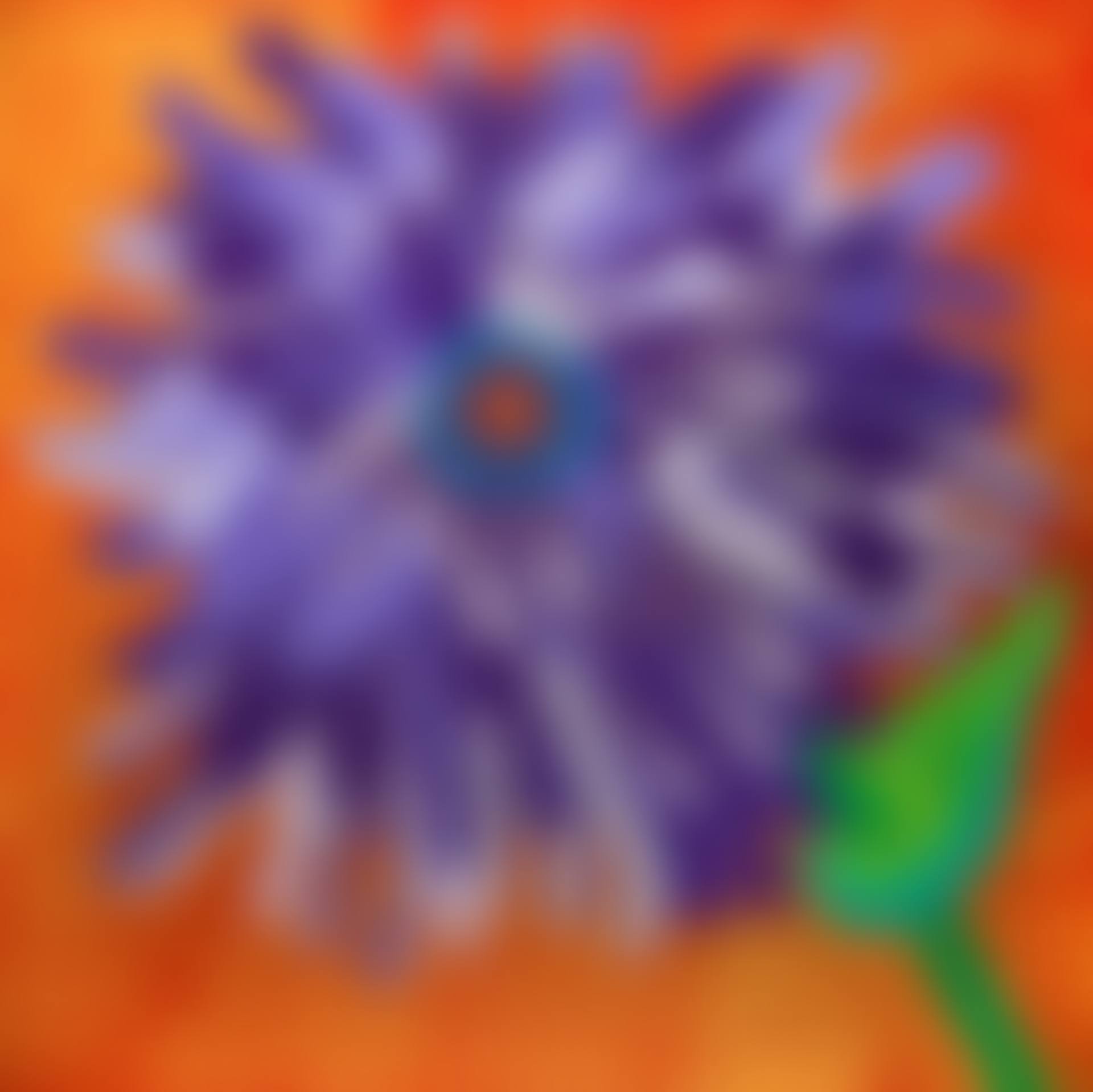 A FLOWER (preview)